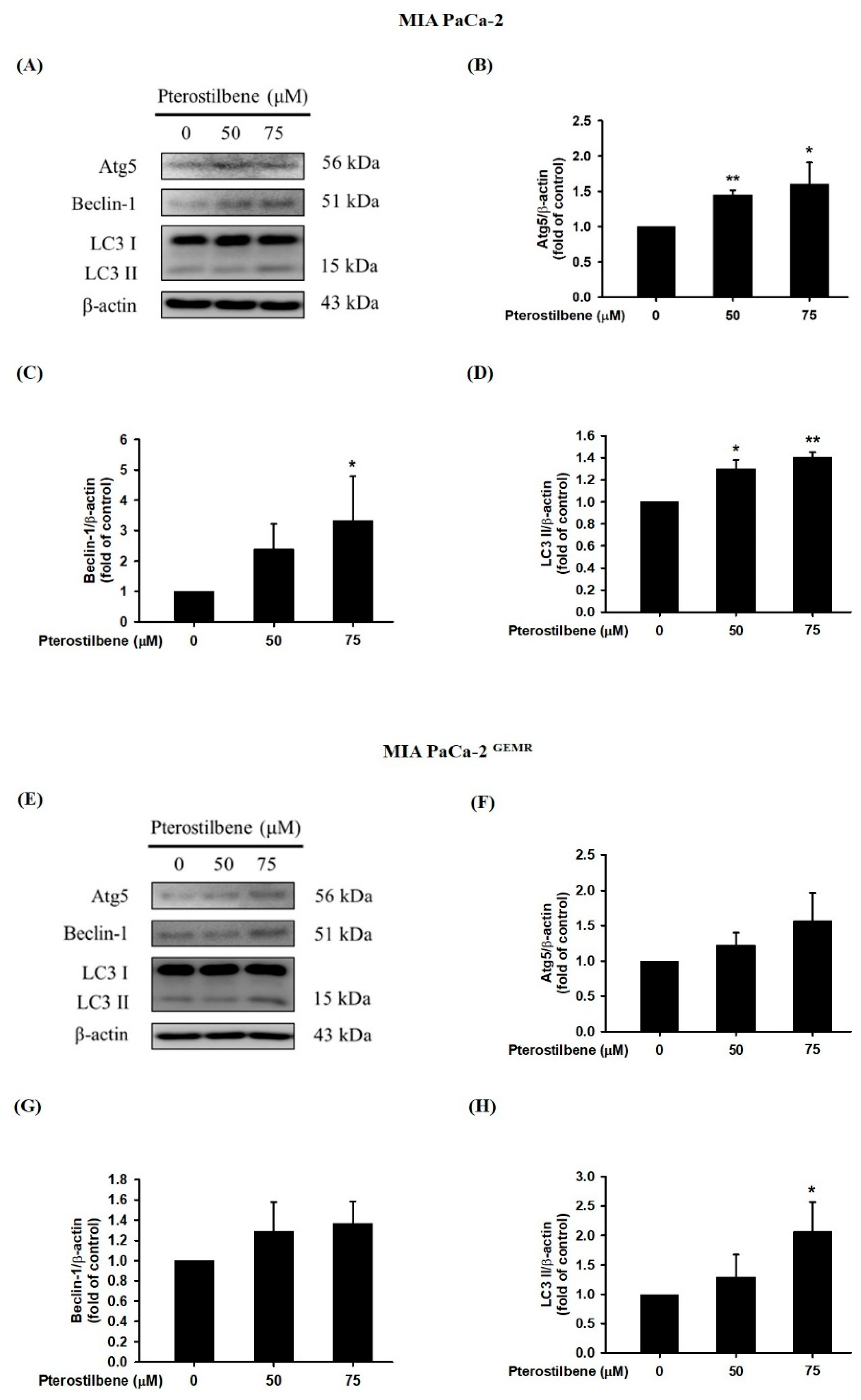 Biomolecules 10 00709 g004 Biomolecules 10 00709 g004