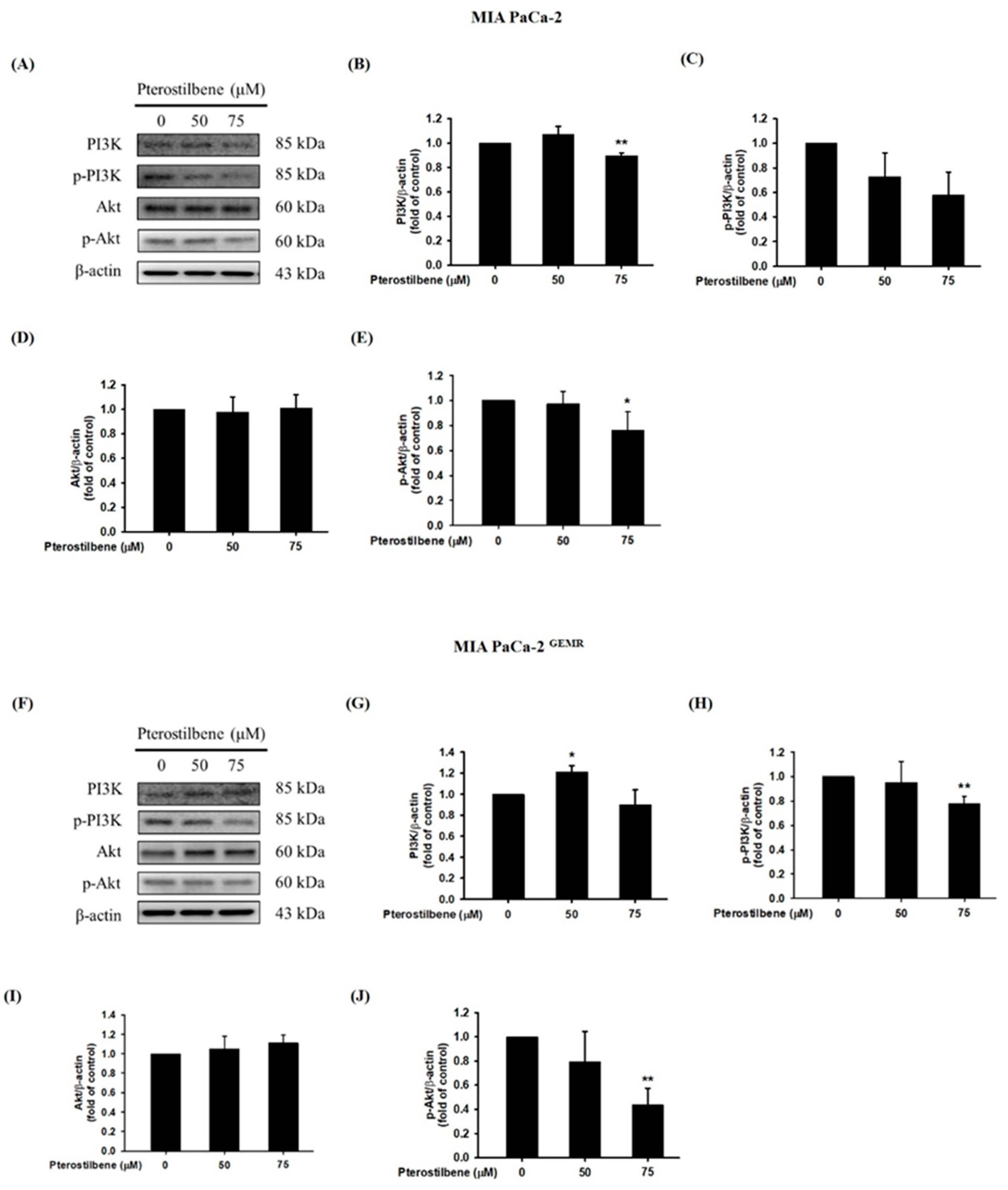 Biomolecules 10 00709 g005 Biomolecules 10 00709 g005