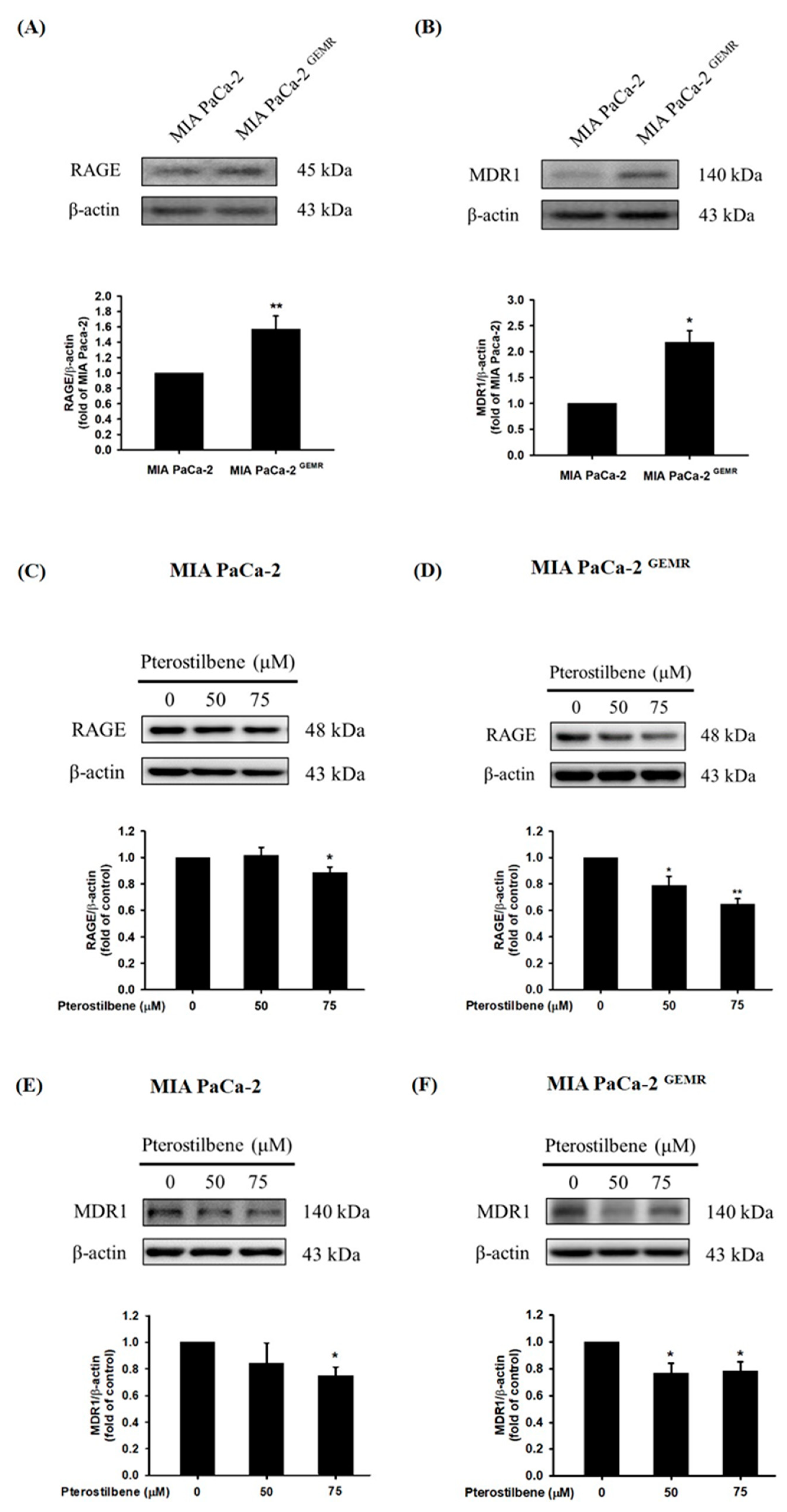 Biomolecules 10 00709 g006 Biomolecules 10 00709 g006