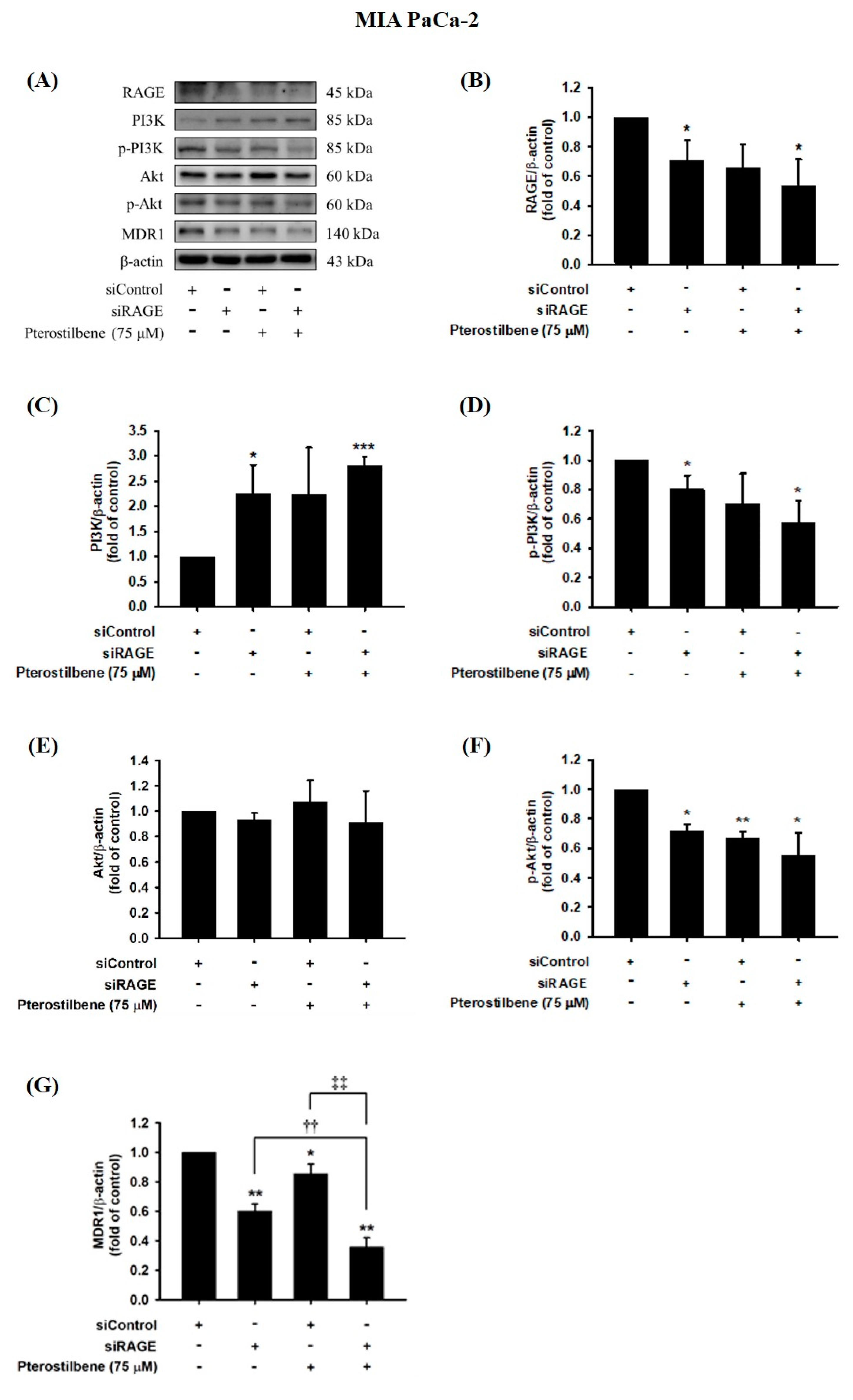 Biomolecules 10 00709 g007 Biomolecules 10 00709 g007