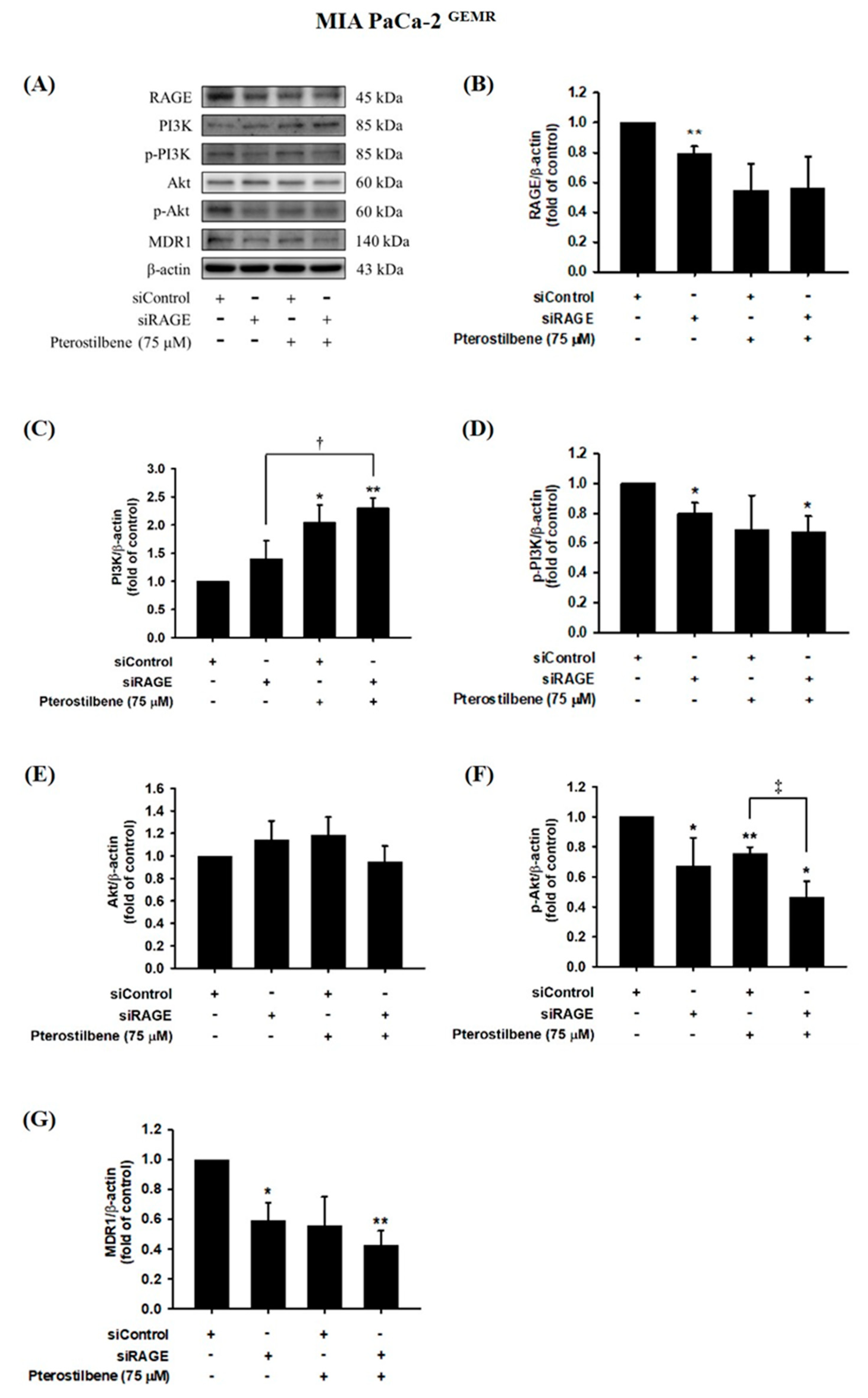 Biomolecules 10 00709 g008 Biomolecules 10 00709 g008