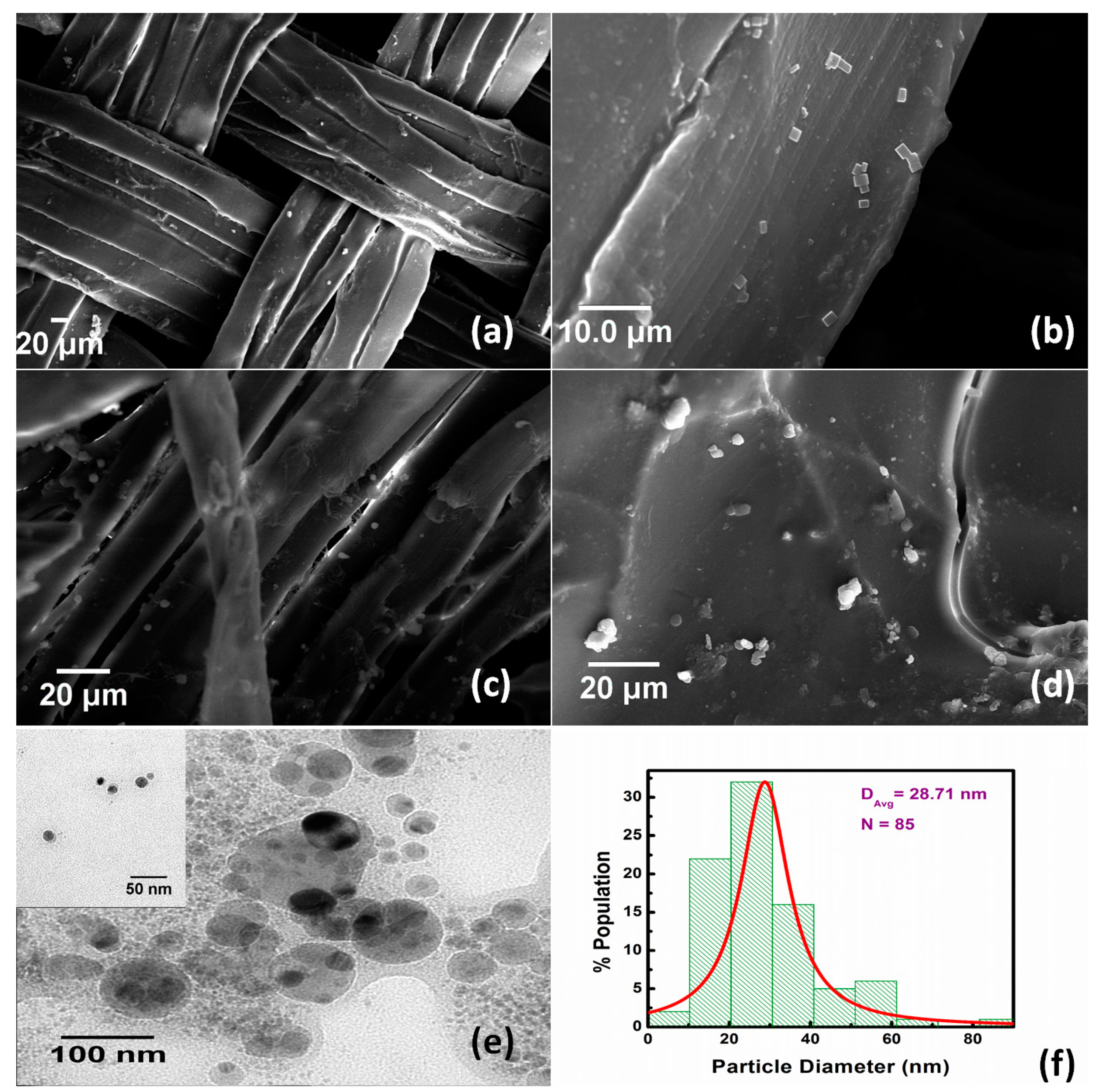 Biomolecules 10 00710 g003 Biomolecules 10 00710 g003