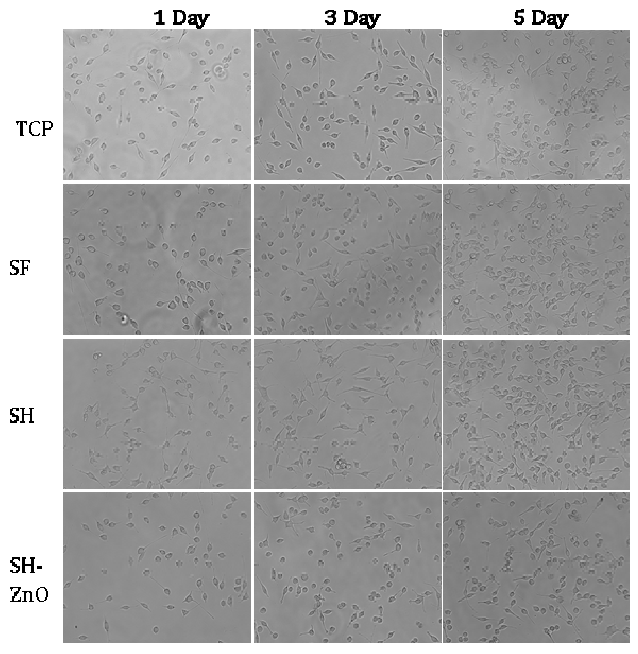 Biomolecules 10 00710 g008 Biomolecules 10 00710 g008