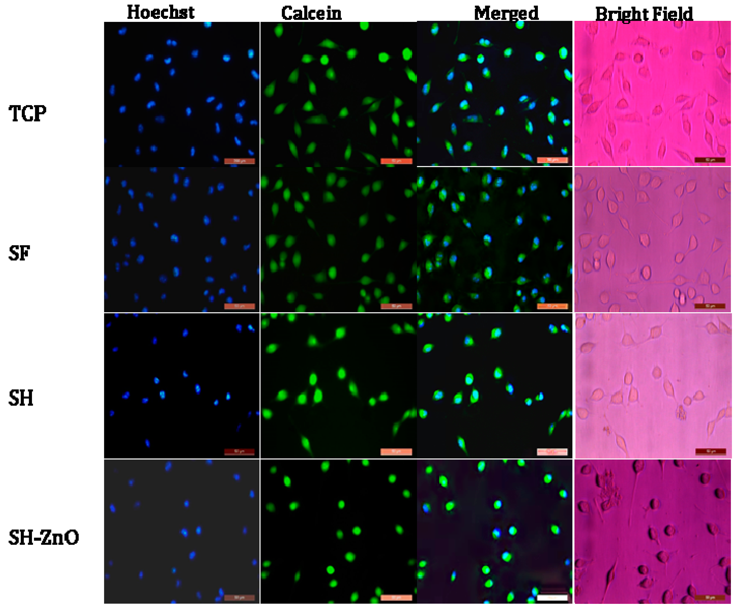 Biomolecules 10 00710 g009 Biomolecules 10 00710 g009