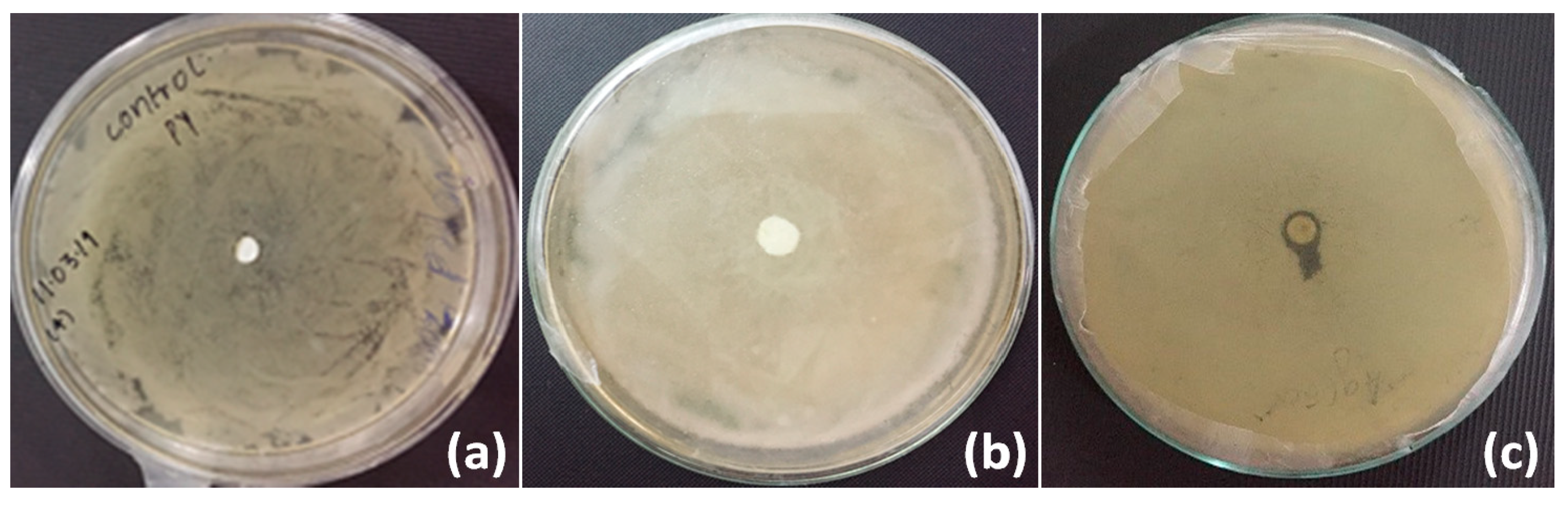 Biomolecules 10 00710 g010 Biomolecules 10 00710 g010