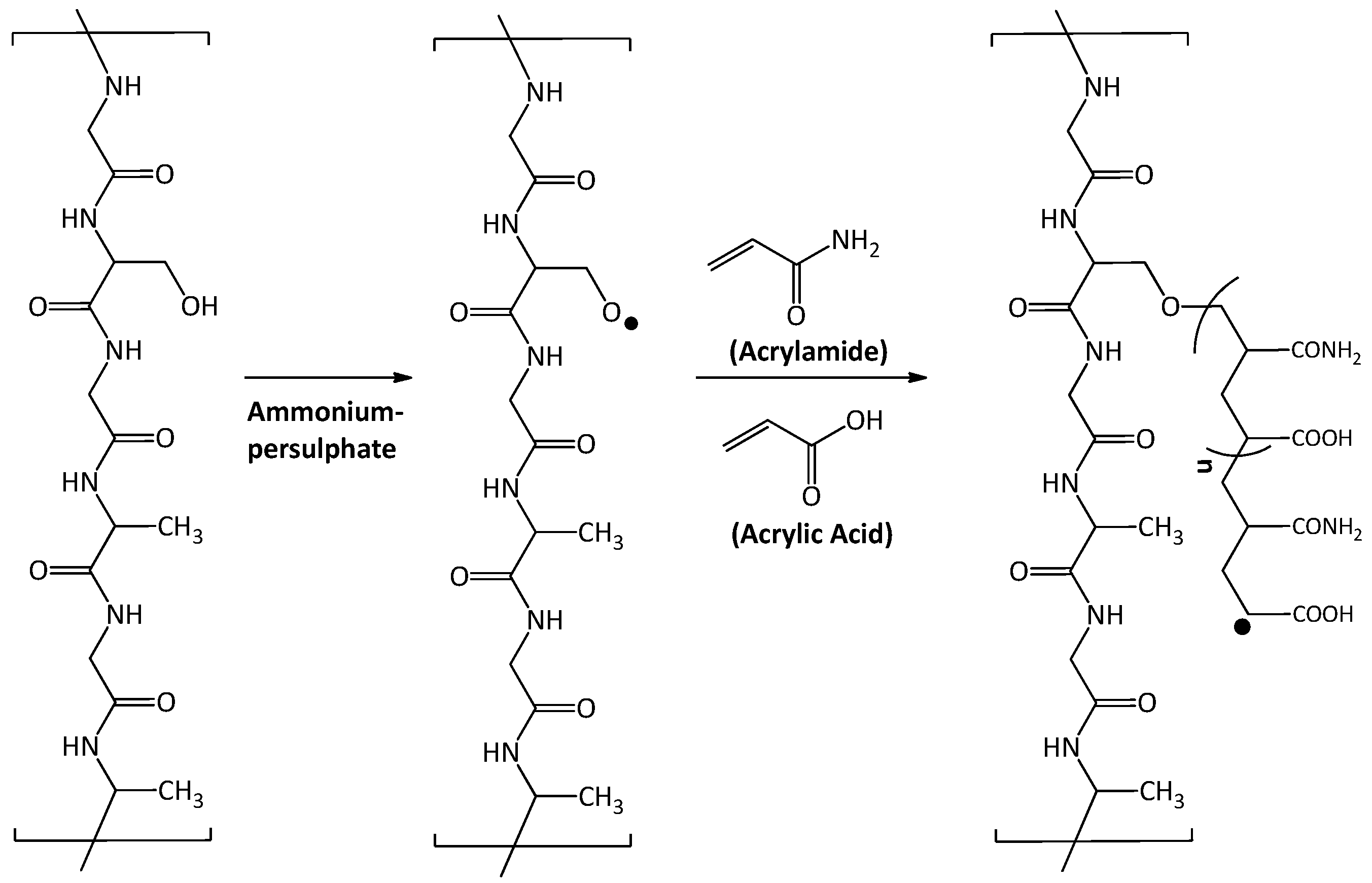 Biomolecules 10 00710 sch001 Biomolecules 10 00710 sch001