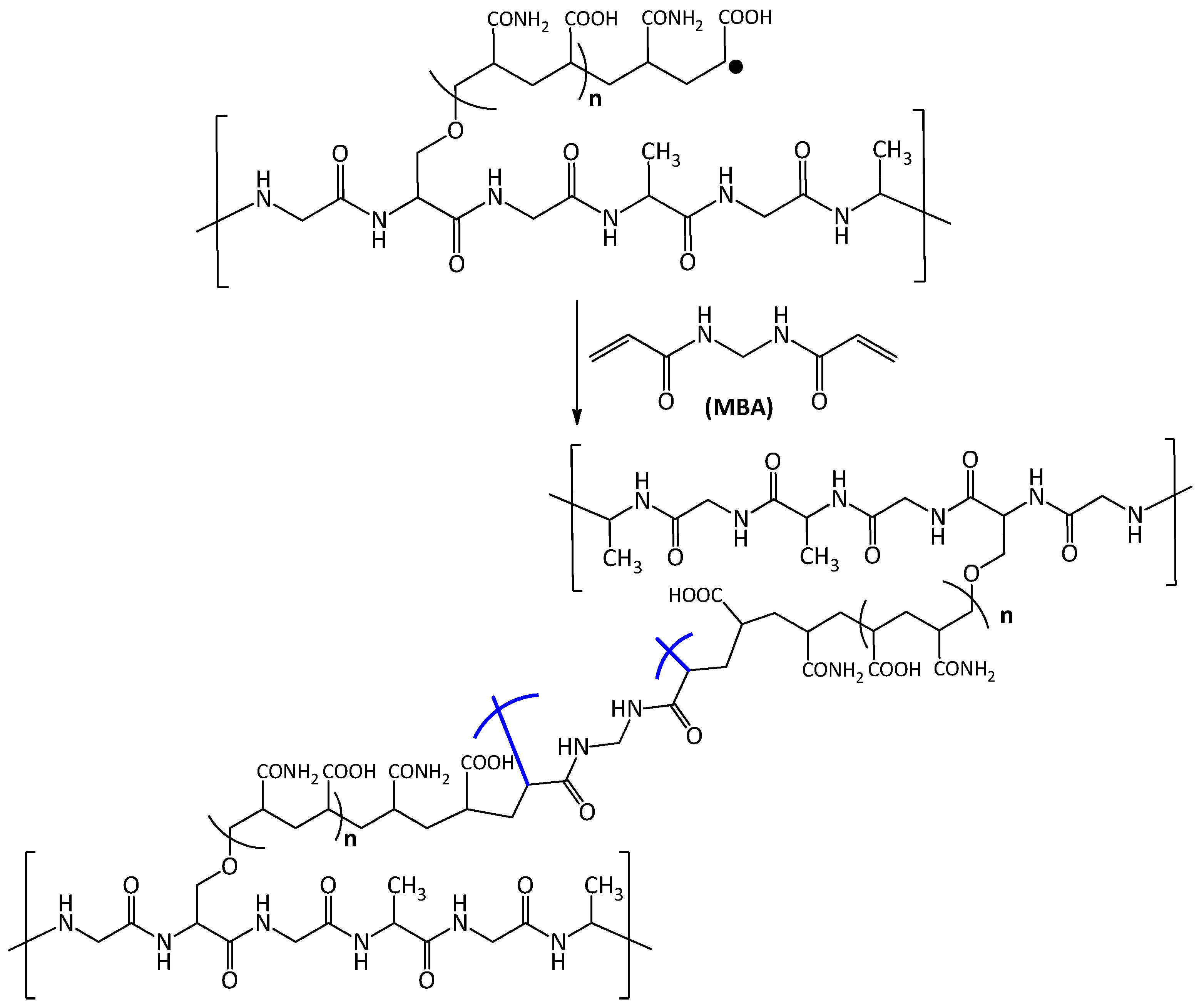 Biomolecules 10 00710 sch002 Biomolecules 10 00710 sch002
