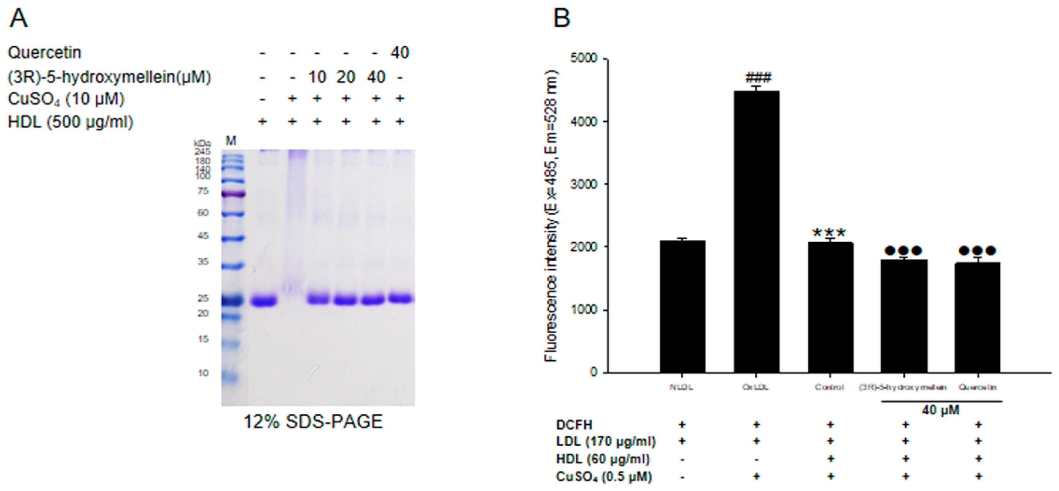 Biomolecules 10 00715 g004 Biomolecules 10 00715 g004