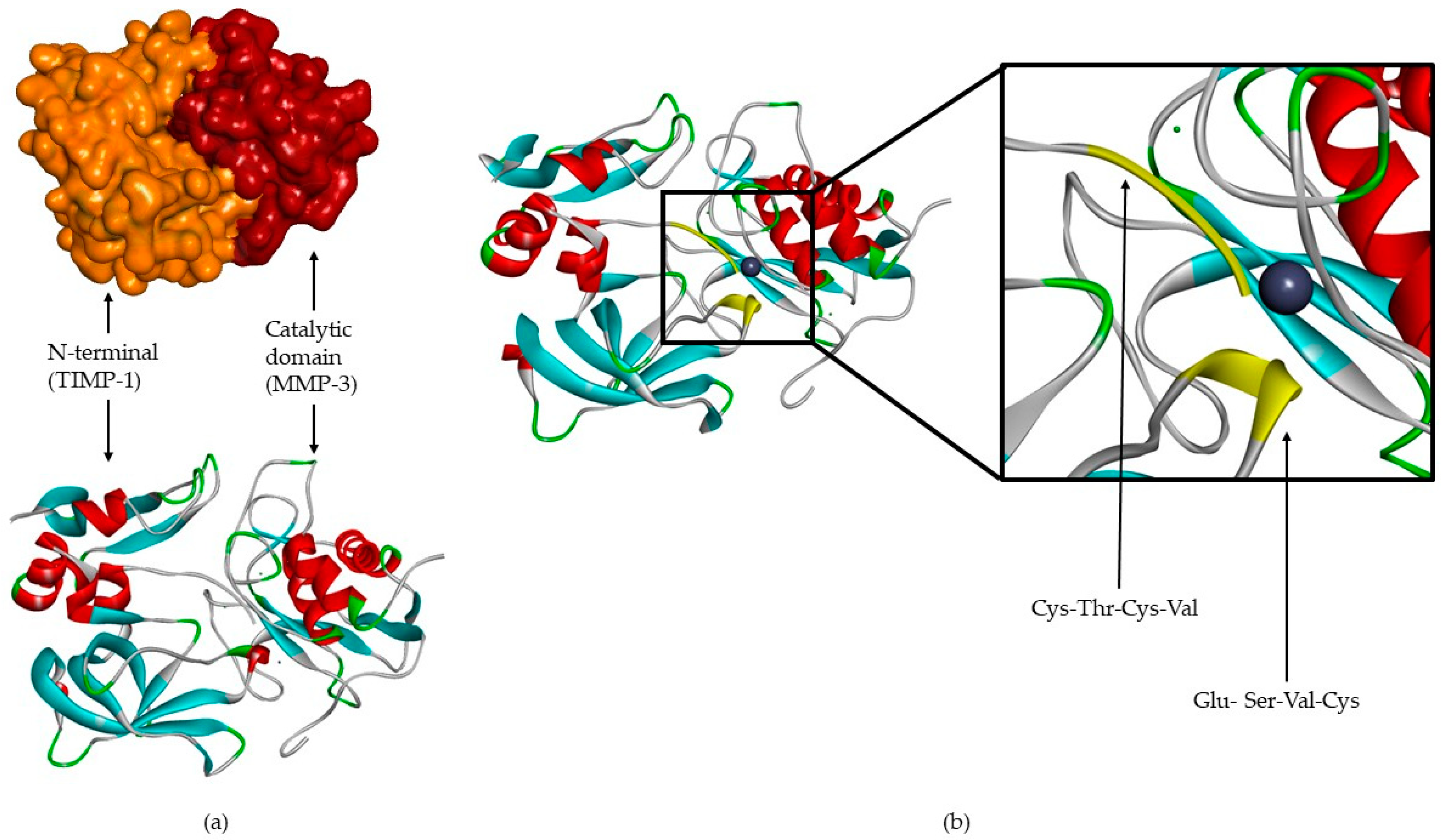 Biomolecules 10 00717 g002