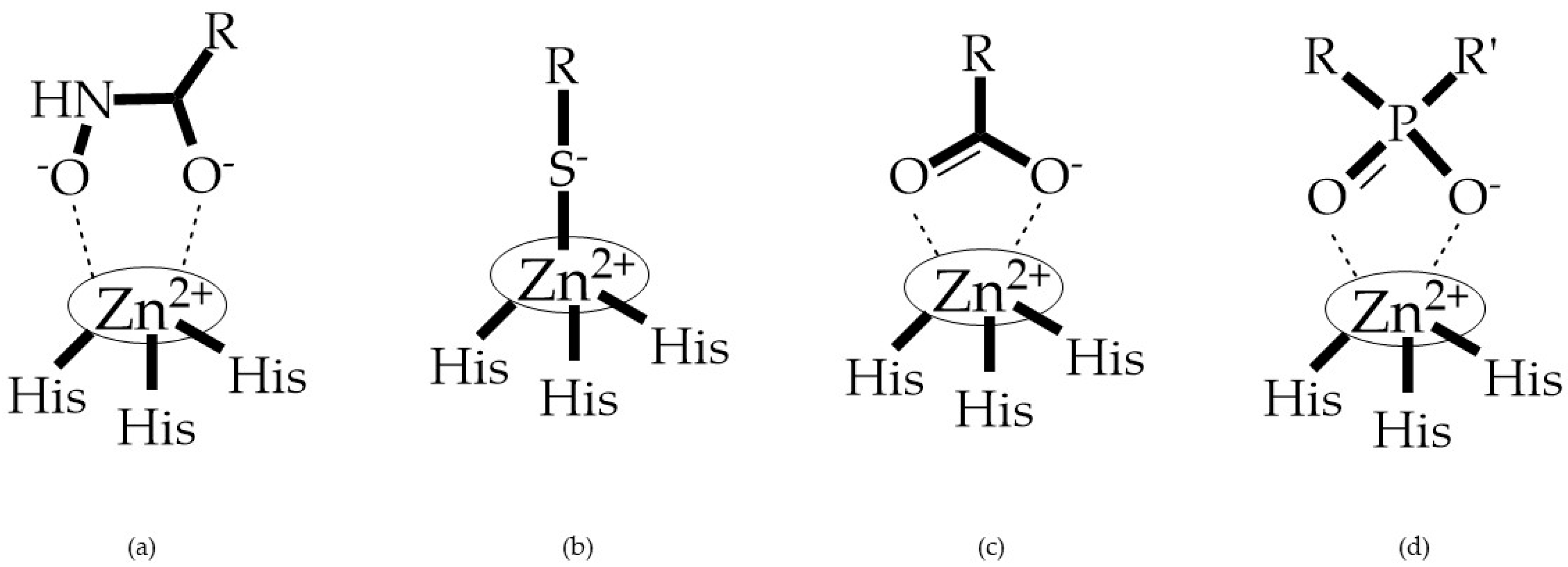 Biomolecules 10 00717 g003