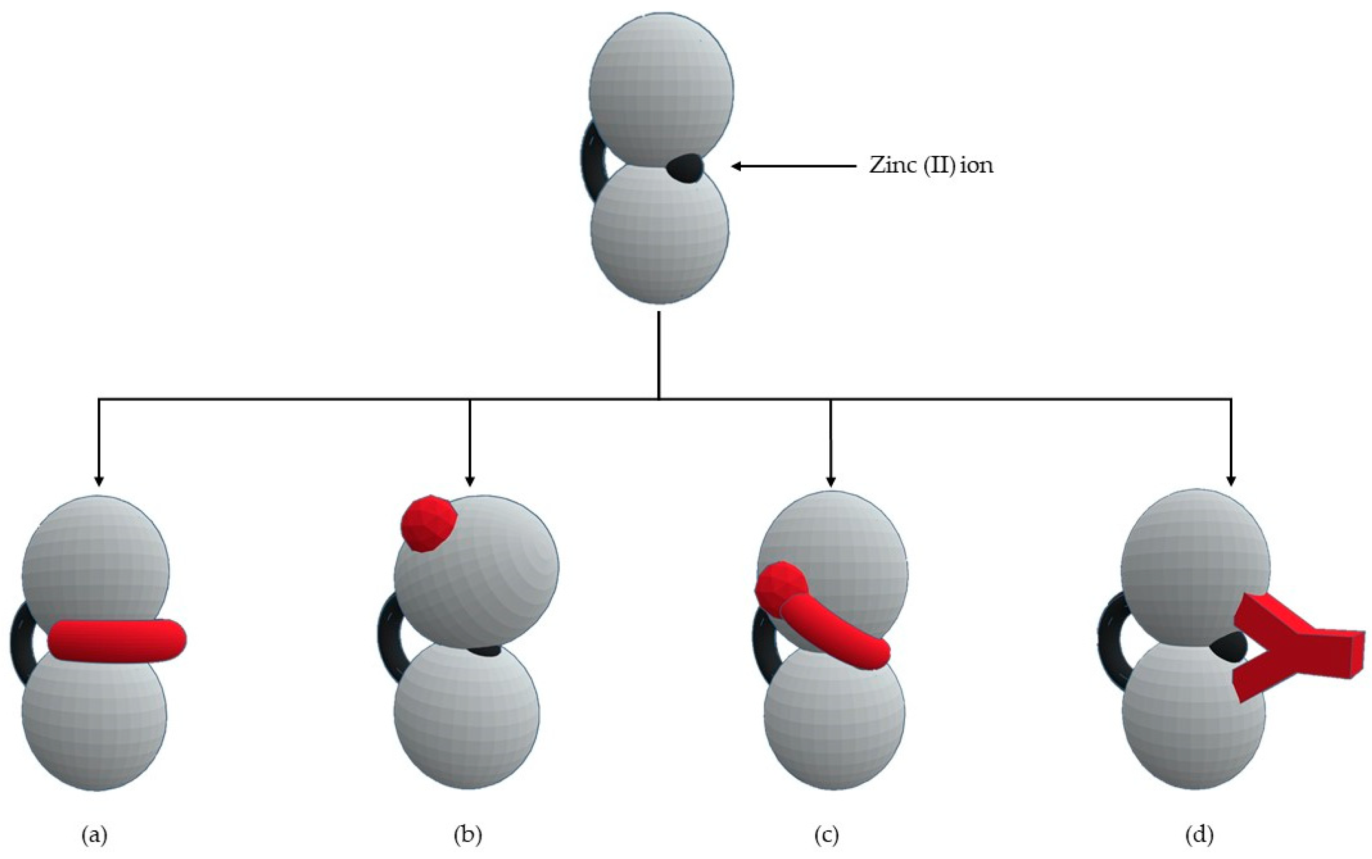 Biomolecules 10 00717 g004