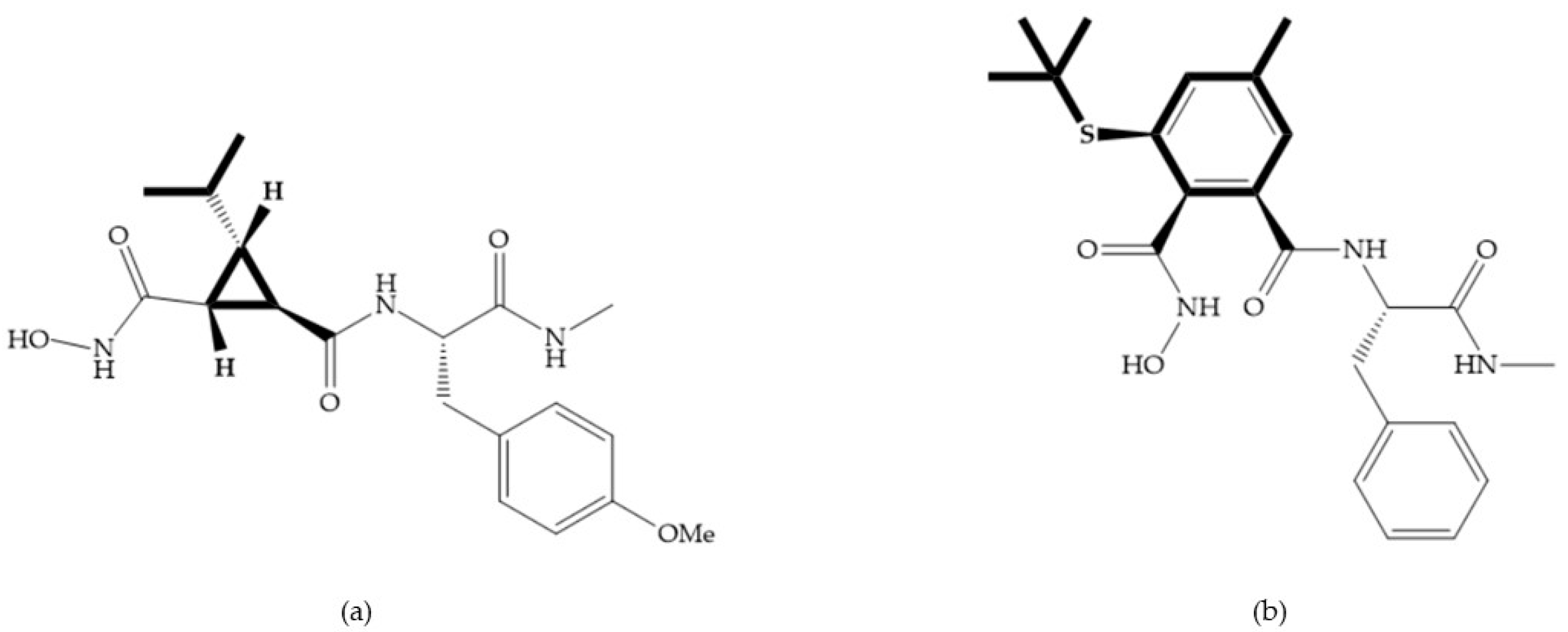 Biomolecules 10 00717 g008