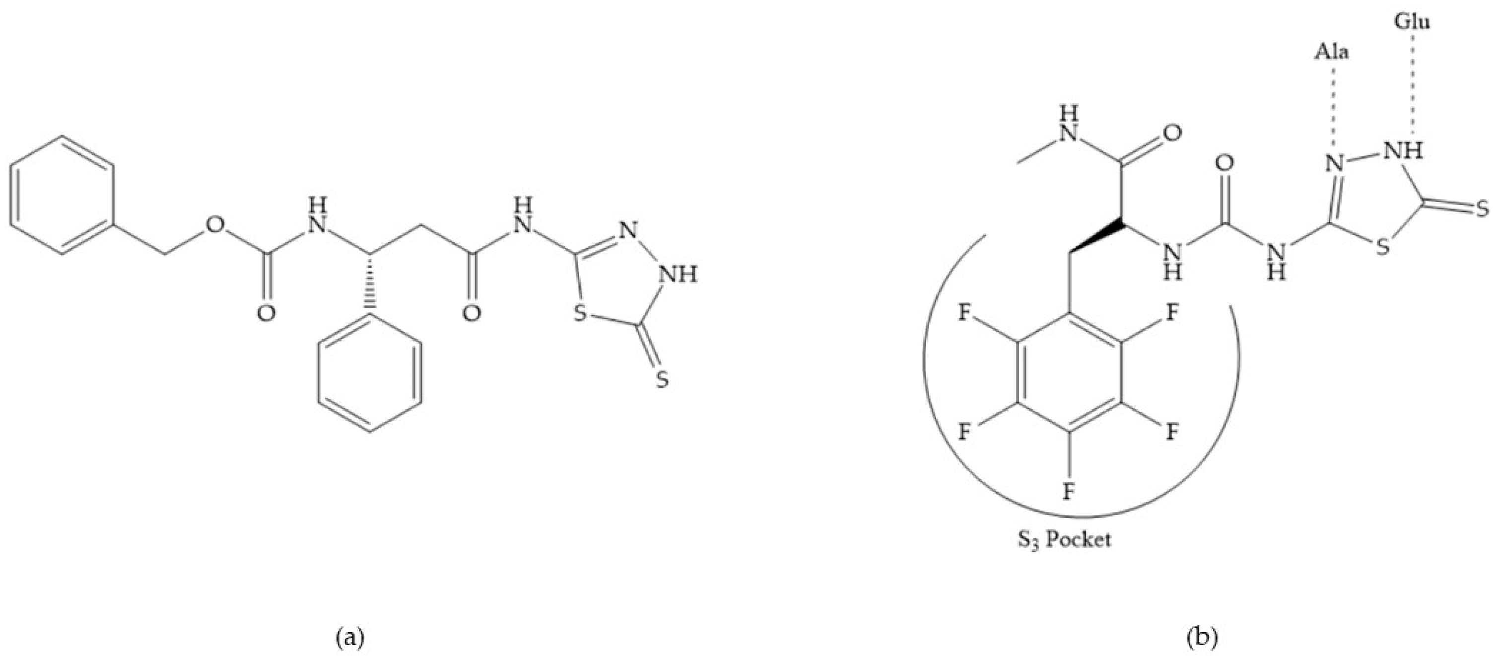 Biomolecules 10 00717 g028