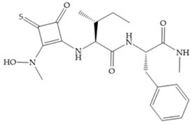 Biomolecules 10 00717 i148 Biomolecules 10 00717 i148