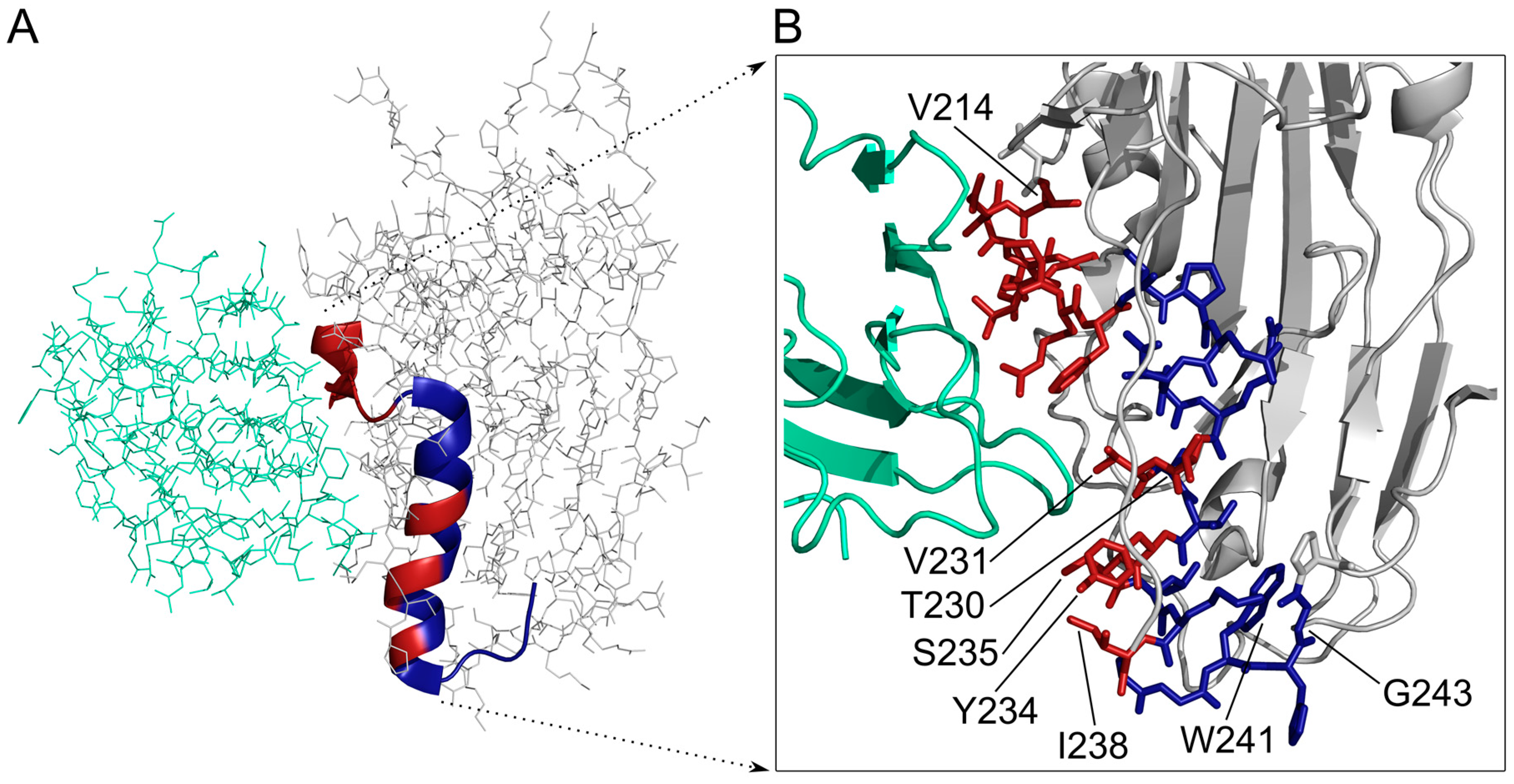 Biomolecules 10 00721 g009