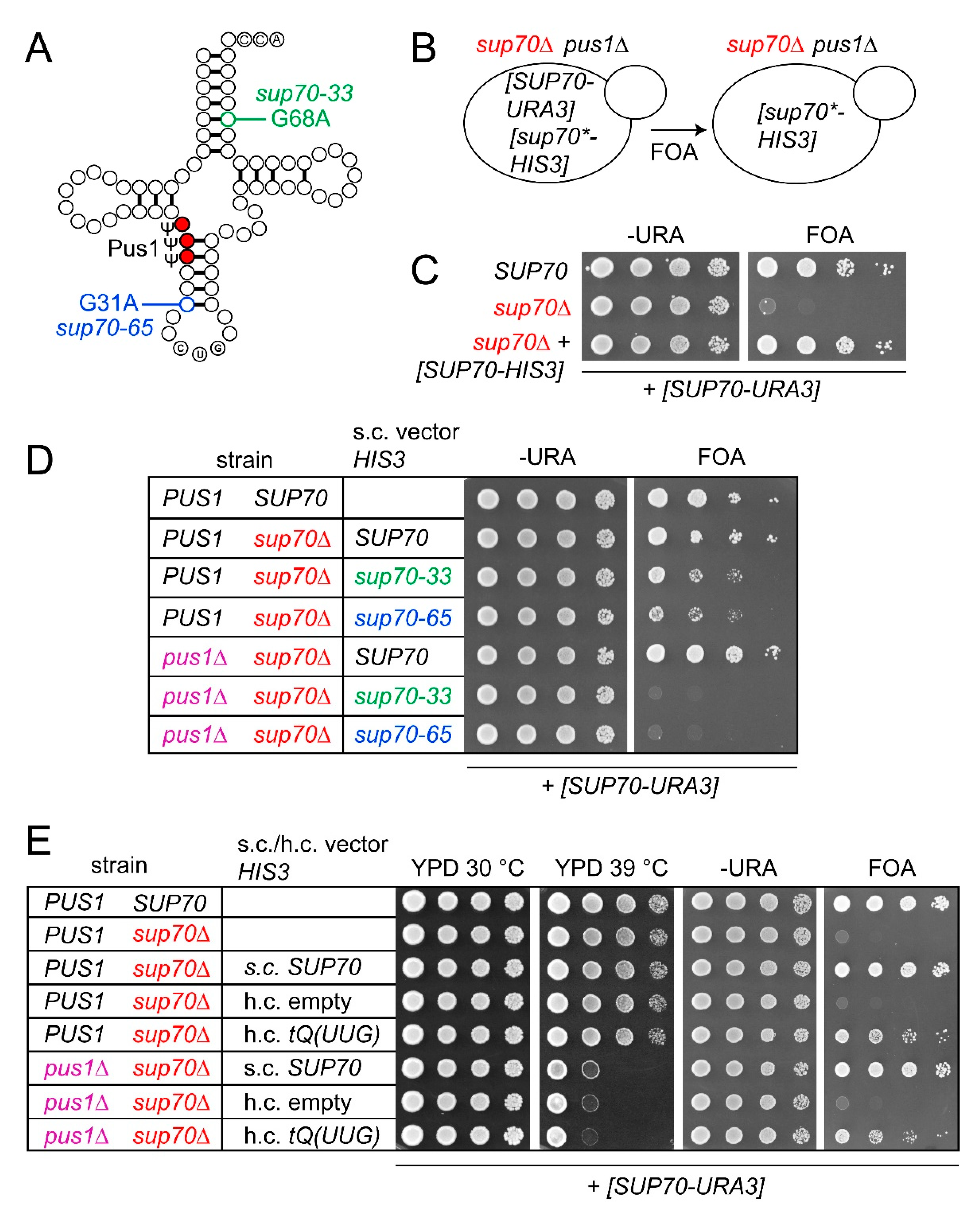 Biomolecules 10 00729 g001 Biomolecules 10 00729 g001