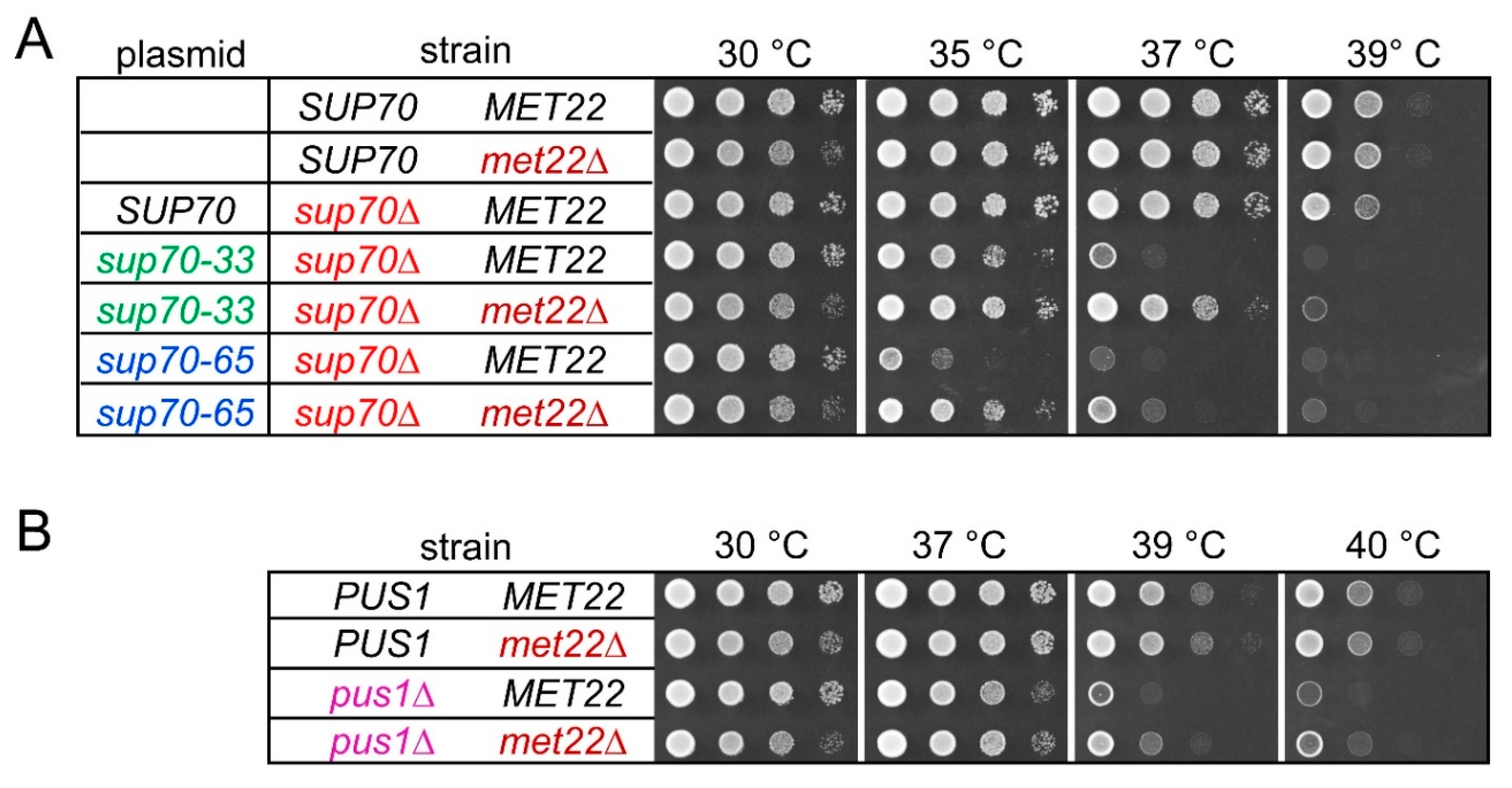 Biomolecules 10 00729 g002 Biomolecules 10 00729 g002