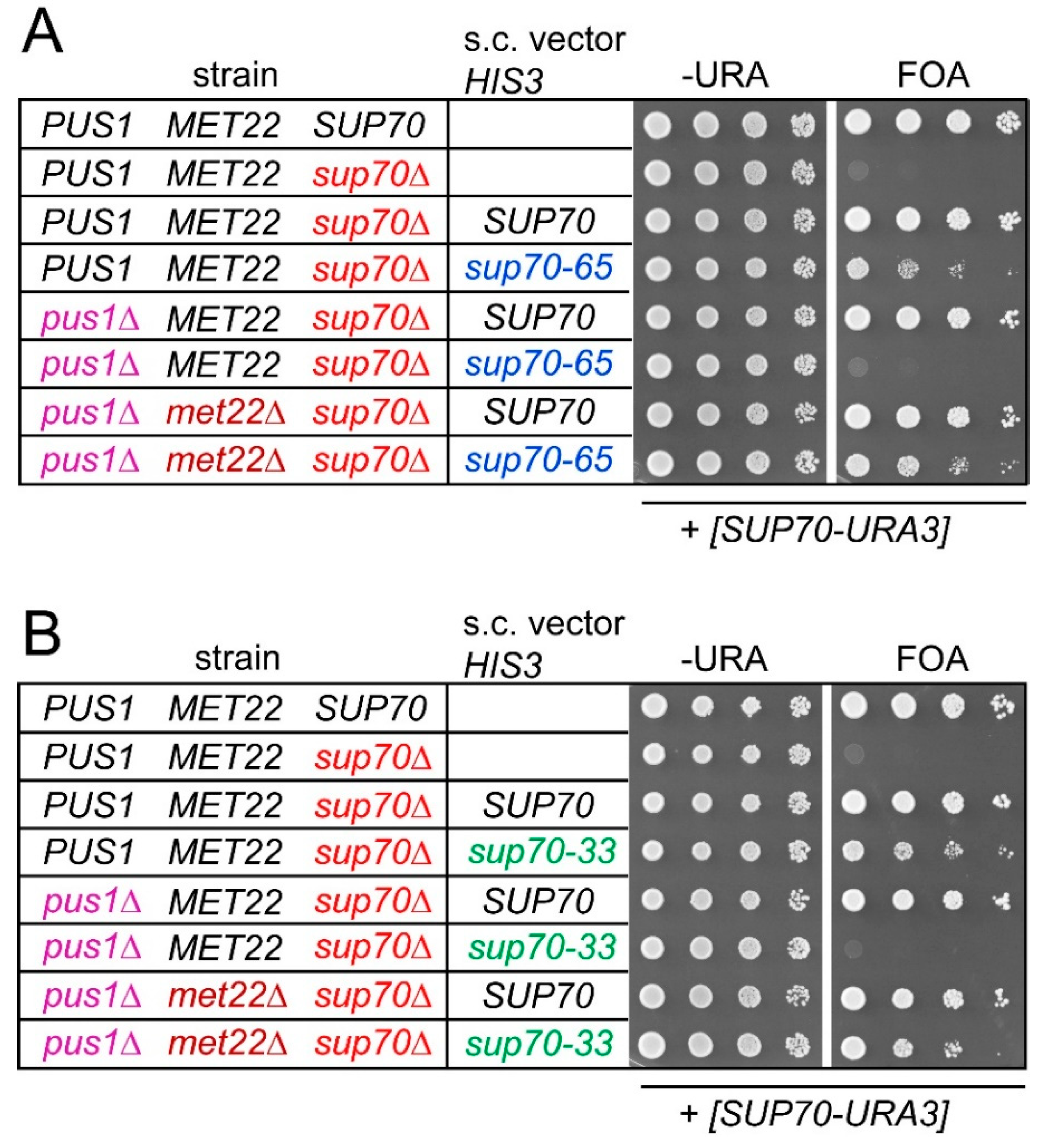 Biomolecules 10 00729 g004 Biomolecules 10 00729 g004