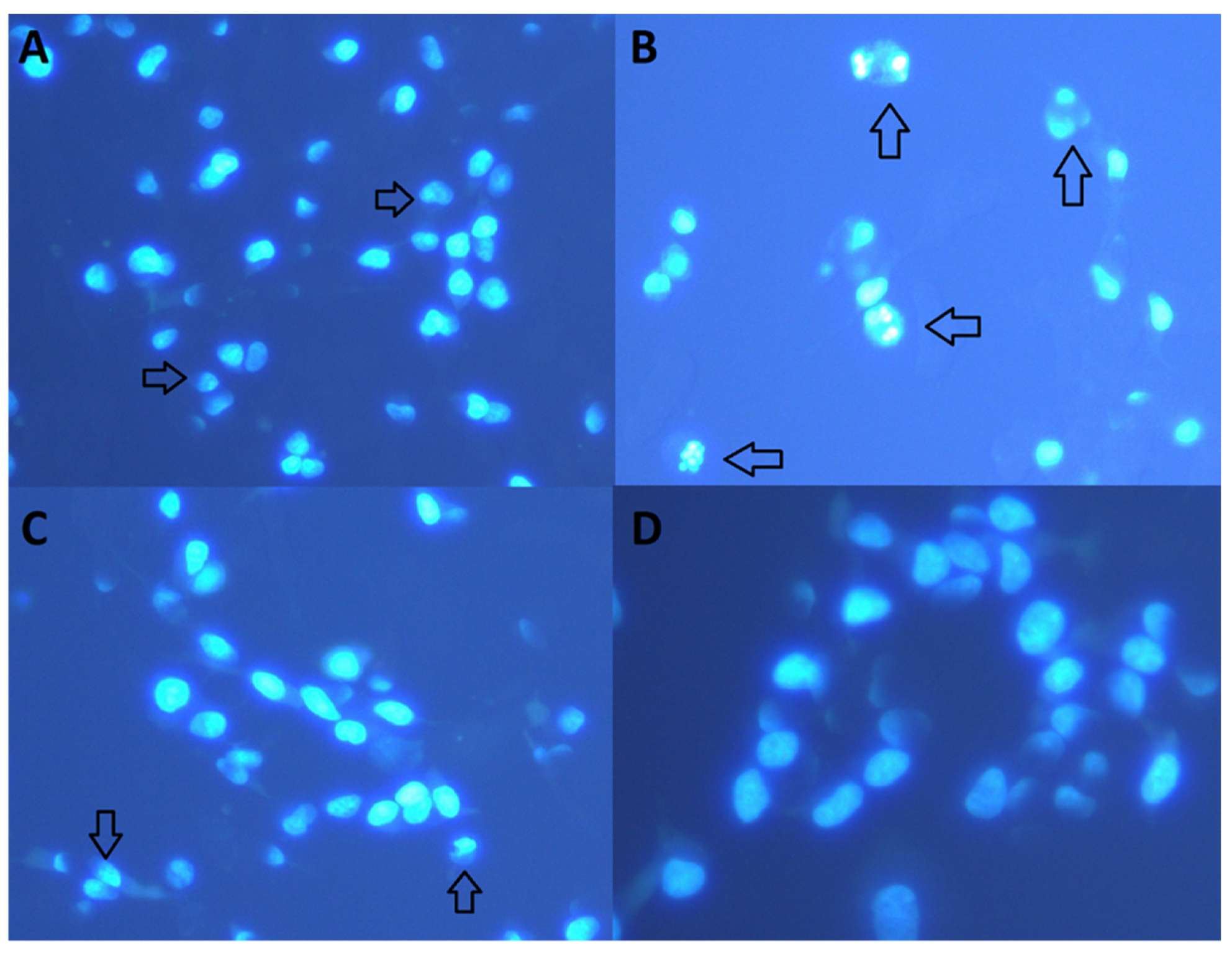 Biomolecules 10 00737 g004