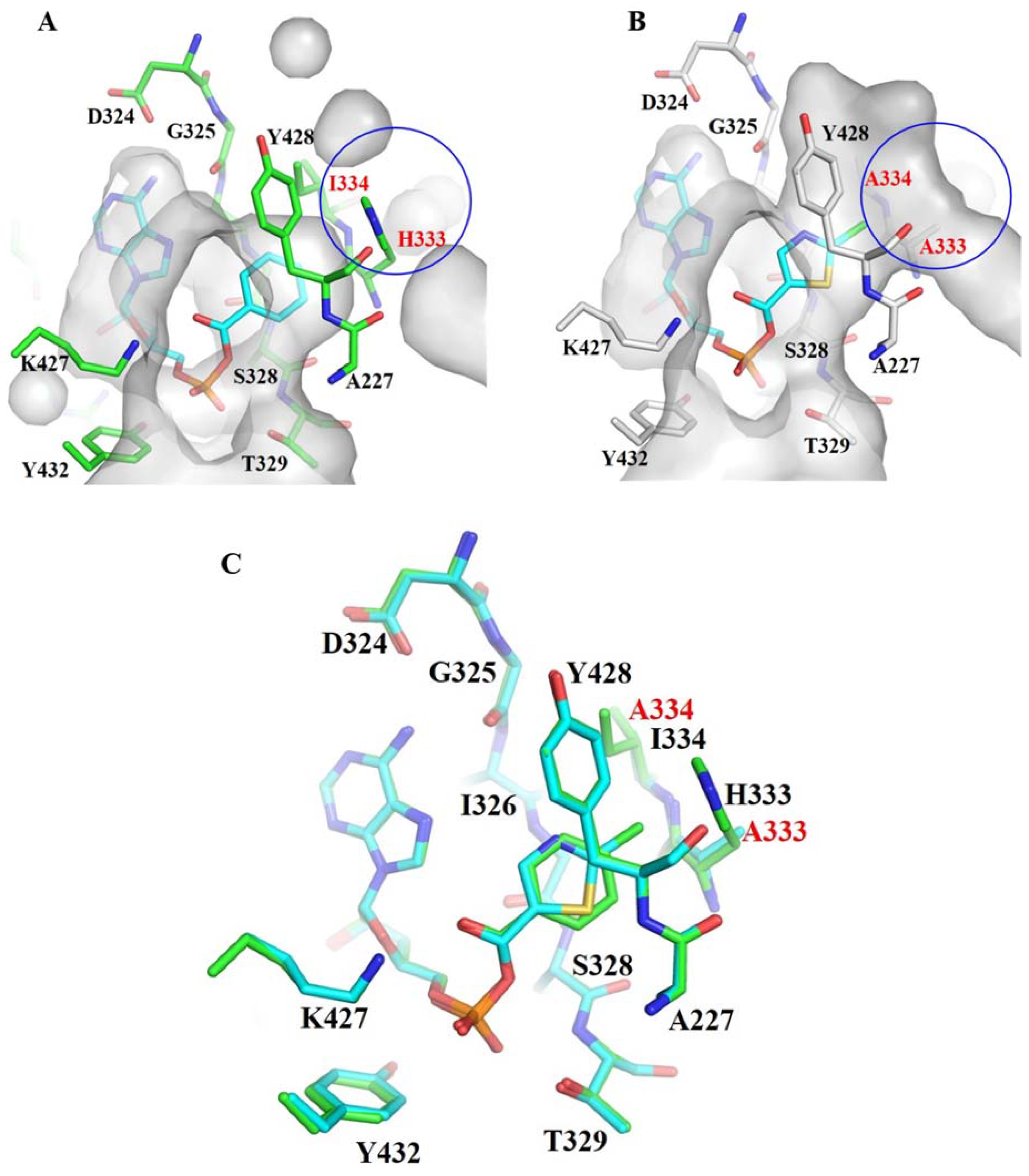 Biomolecules 10 00738 g001 Biomolecules 10 00738 g001