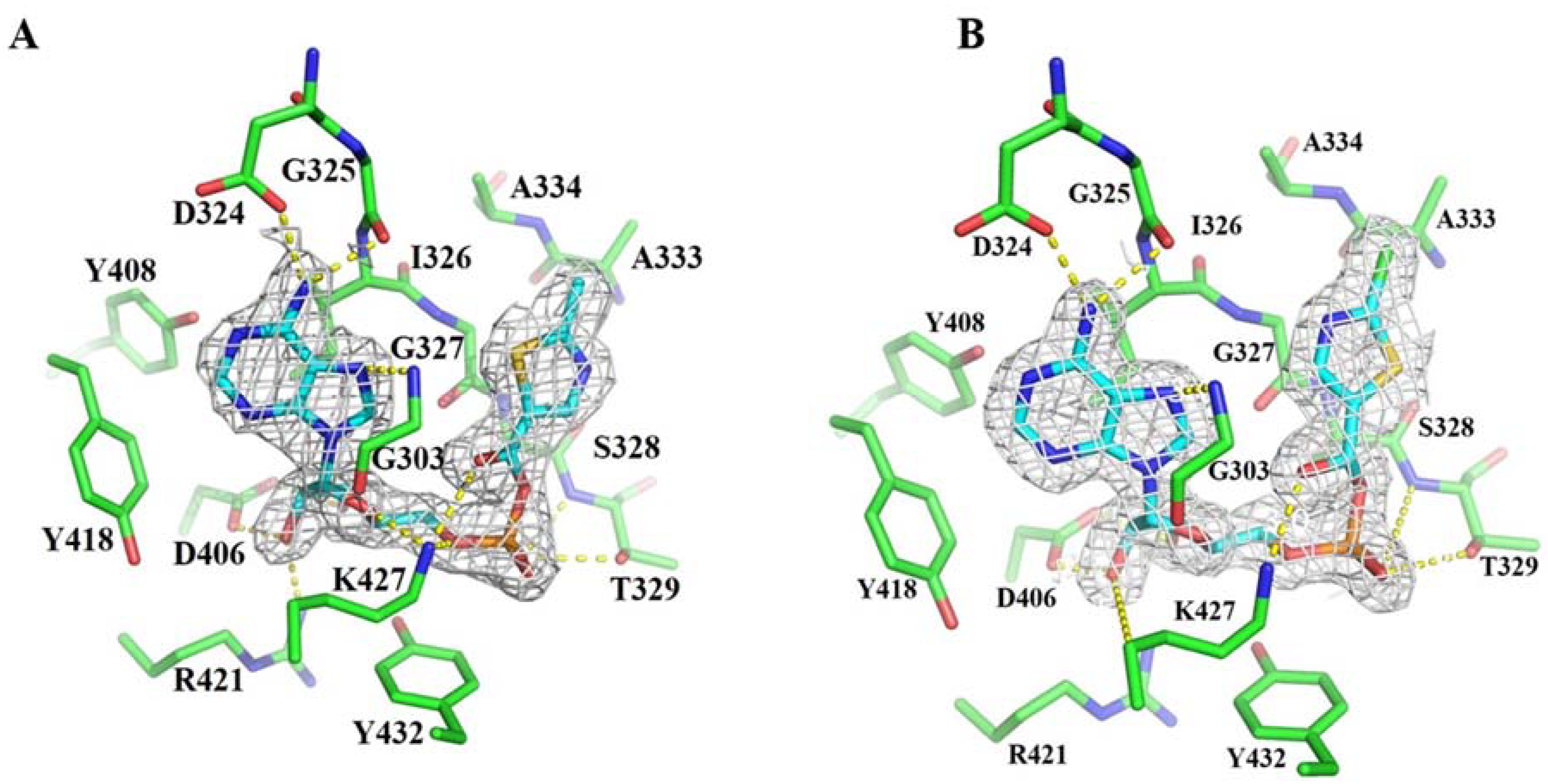 Biomolecules 10 00738 g003 Biomolecules 10 00738 g003
