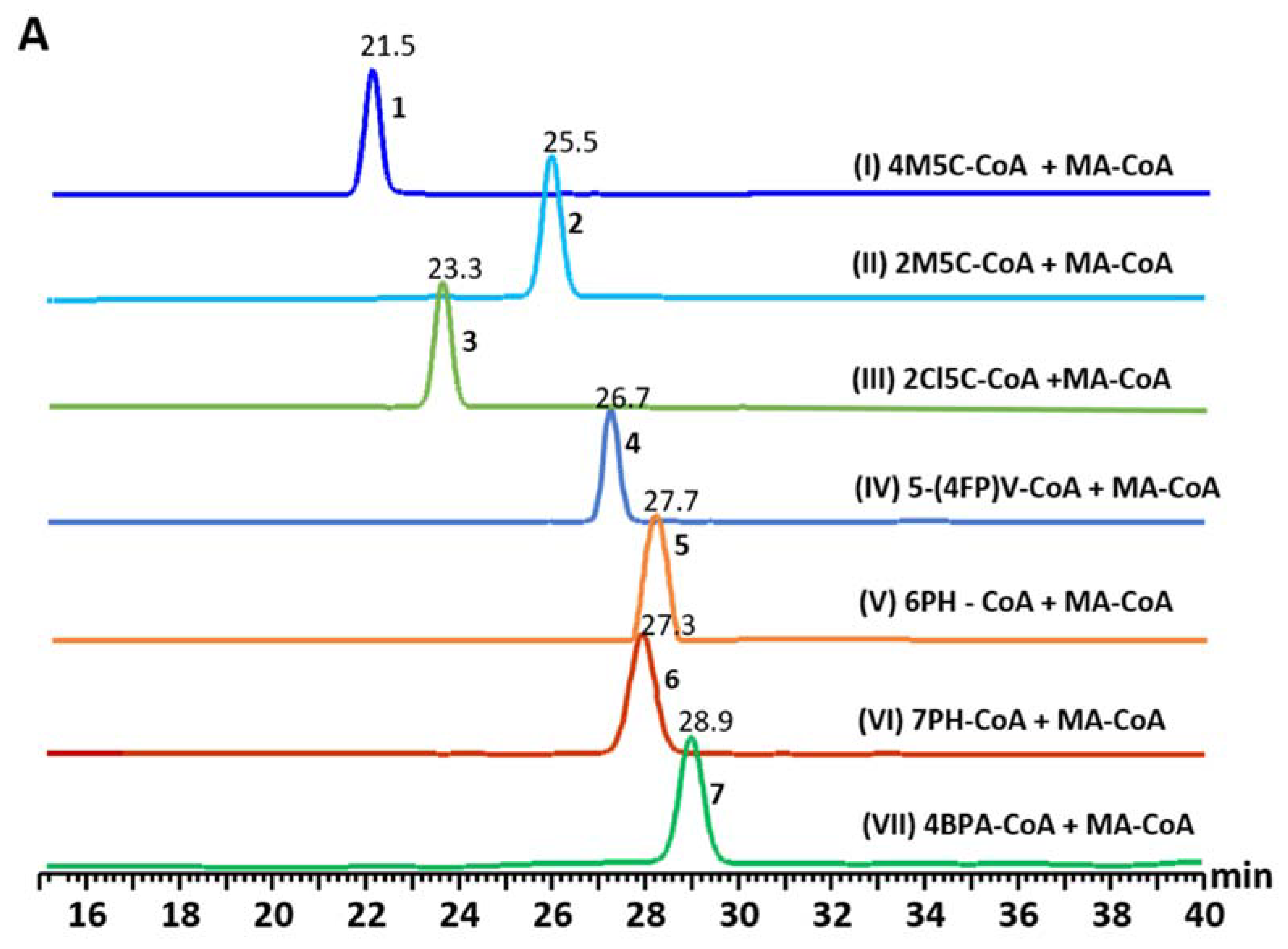Biomolecules 10 00738 g004a Biomolecules 10 00738 g004a