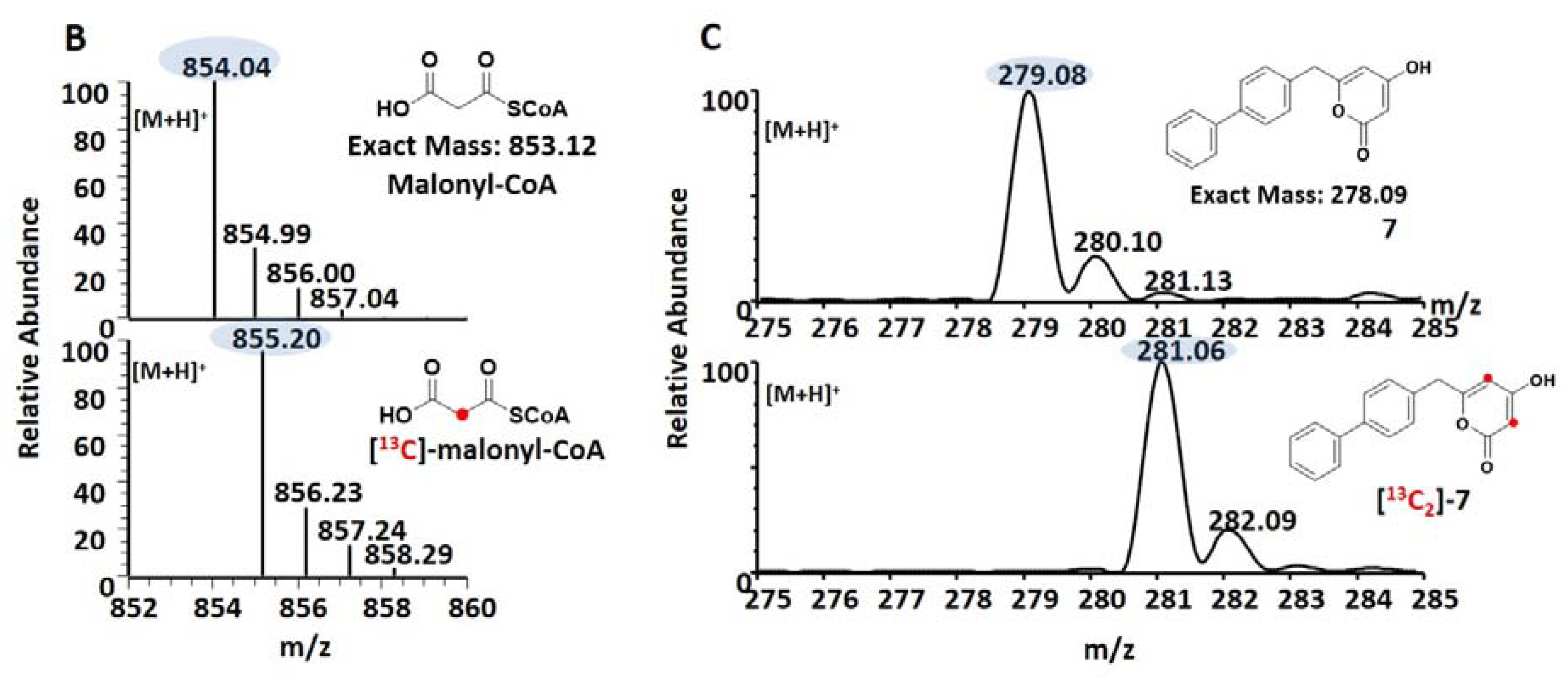 Biomolecules 10 00738 g004b Biomolecules 10 00738 g004b