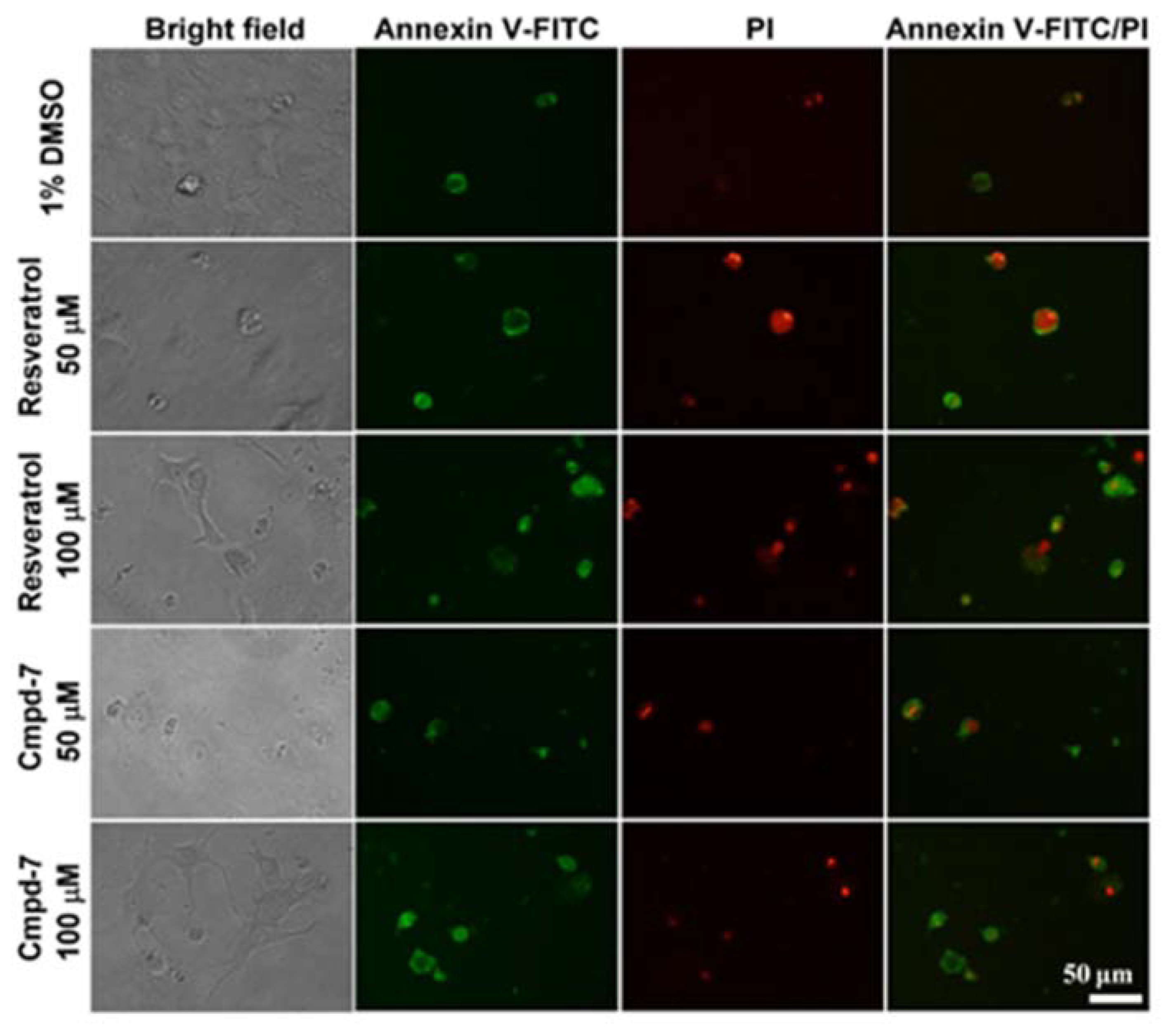 Biomolecules 10 00738 g007 Biomolecules 10 00738 g007
