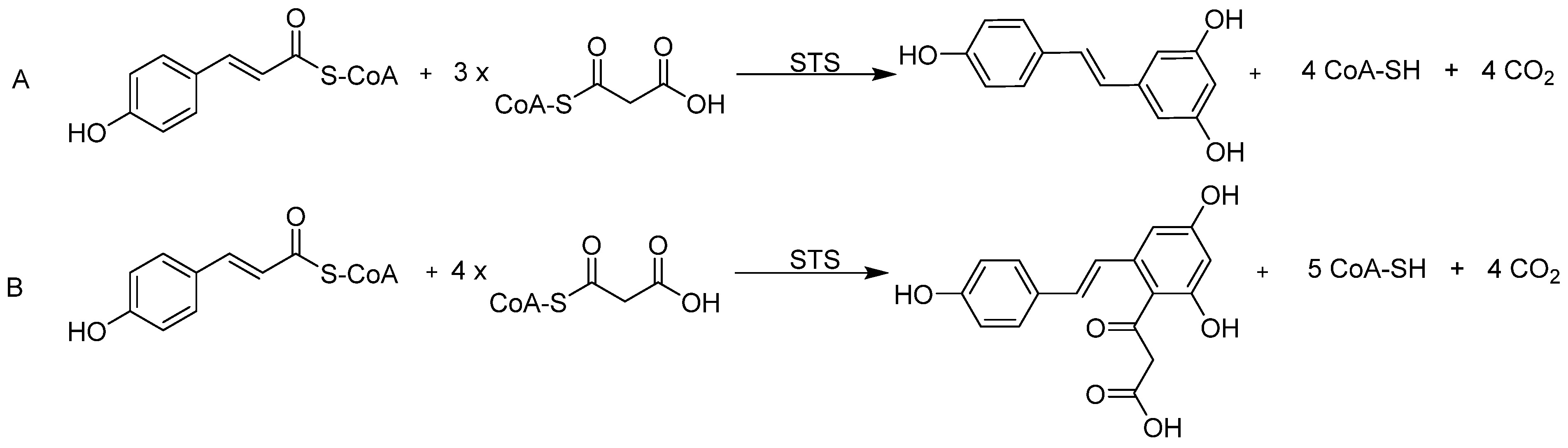 Biomolecules 10 00738 sch001 Biomolecules 10 00738 sch001