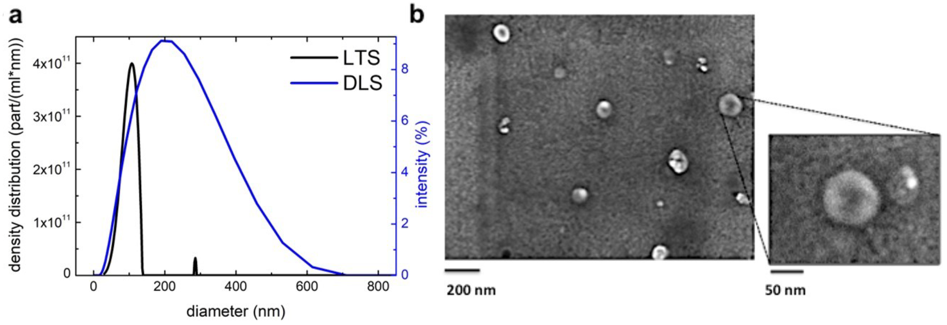 Biomolecules 10 00742 g001