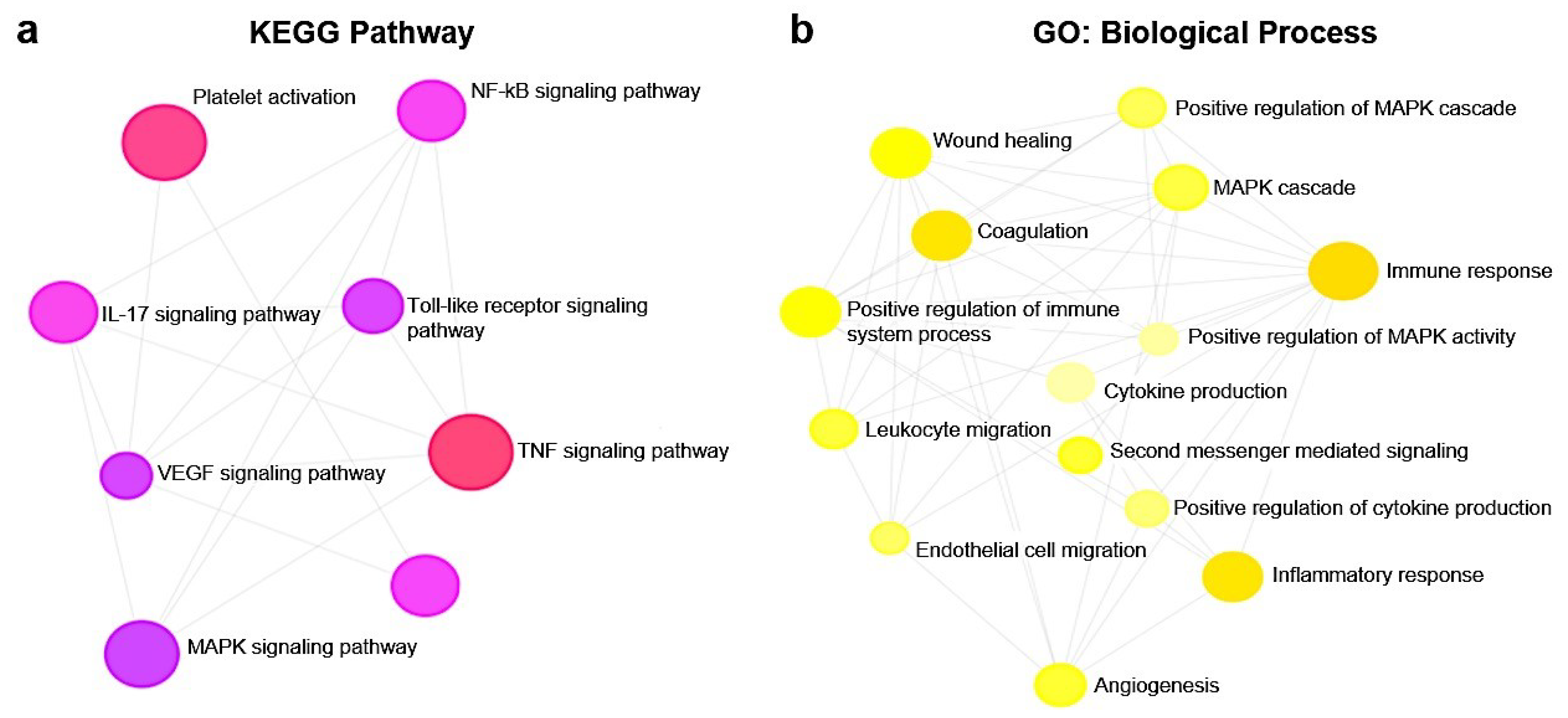 Biomolecules 10 00742 g008