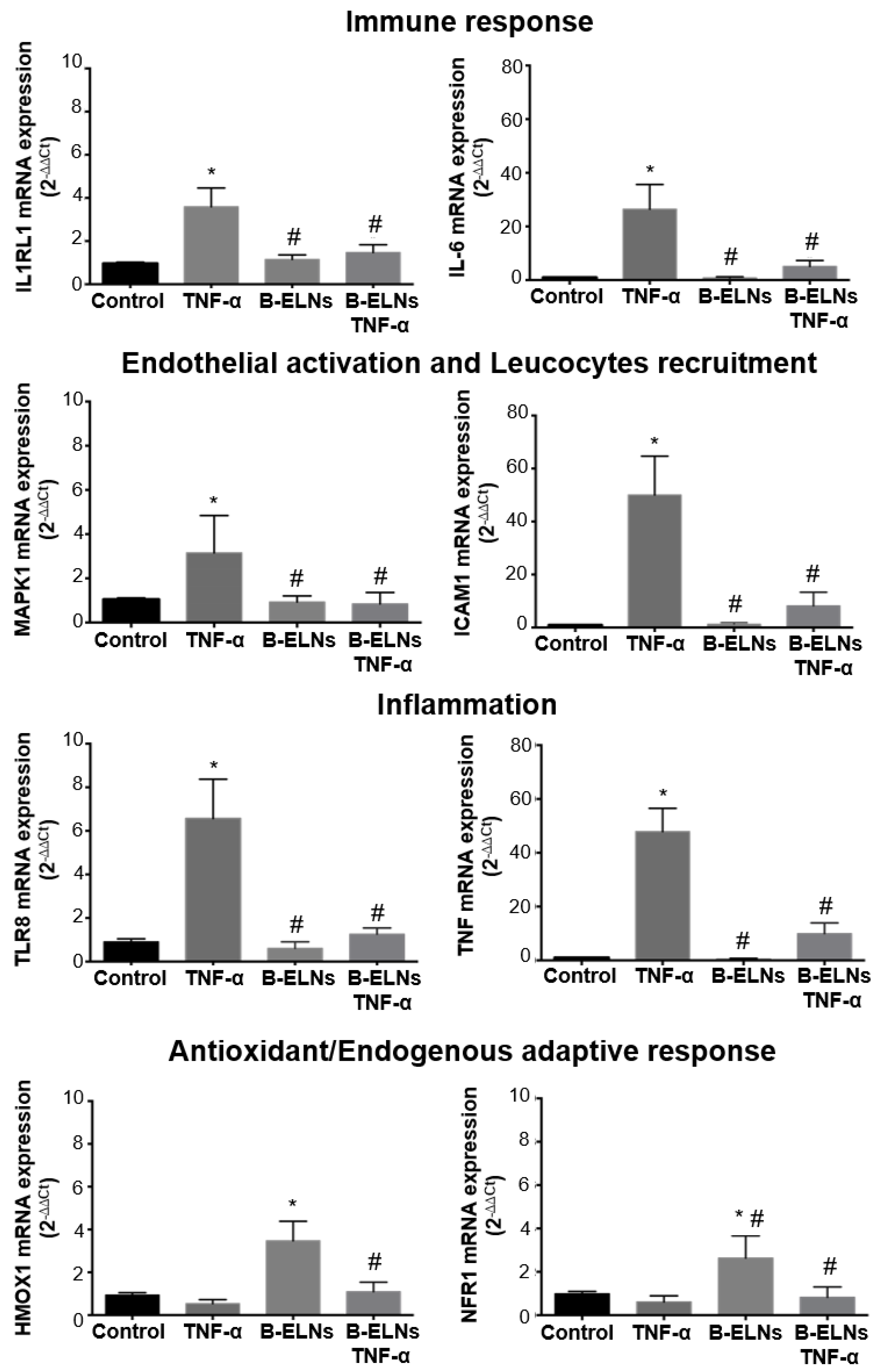 Biomolecules 10 00742 g009