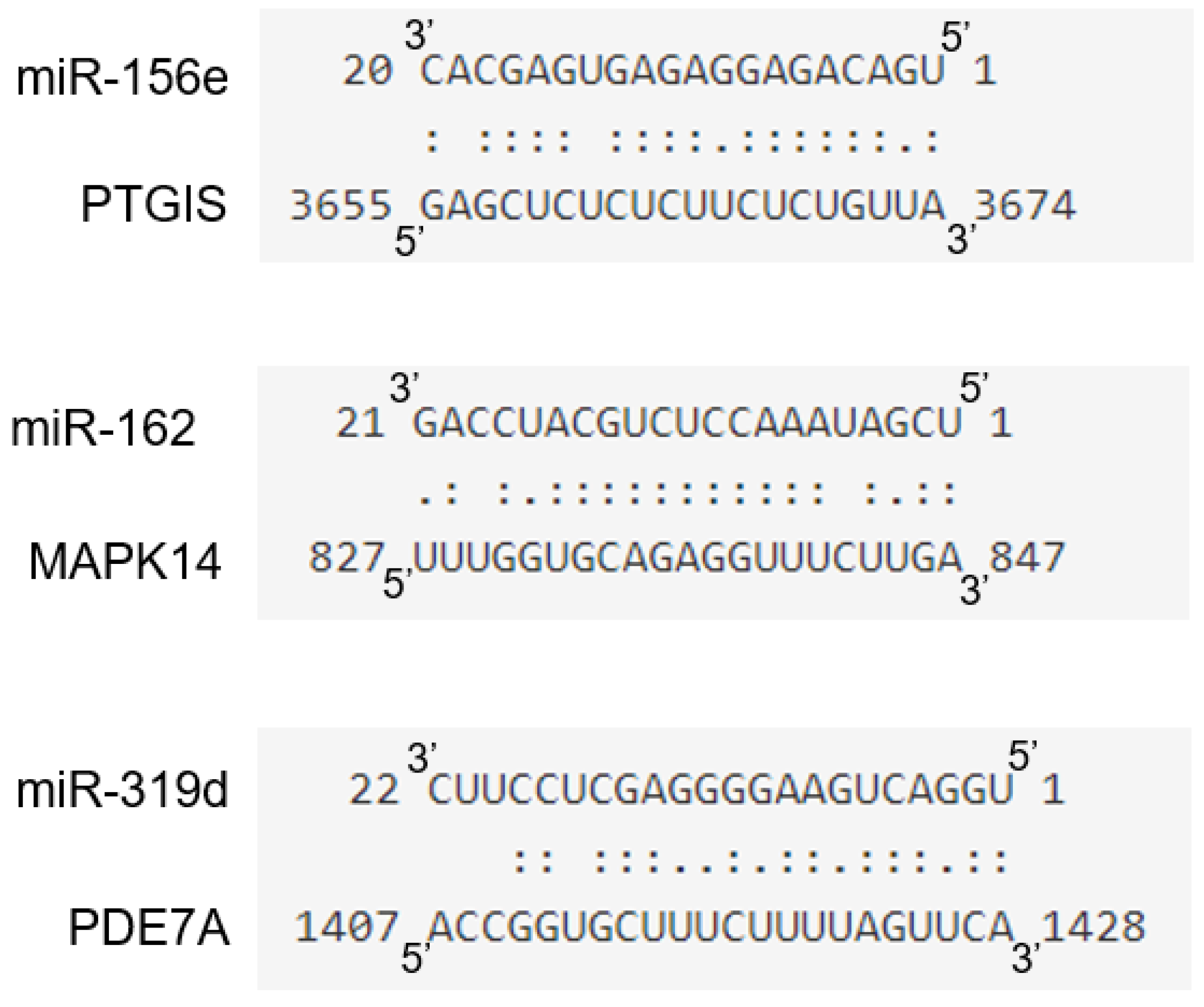 Biomolecules 10 00742 g010