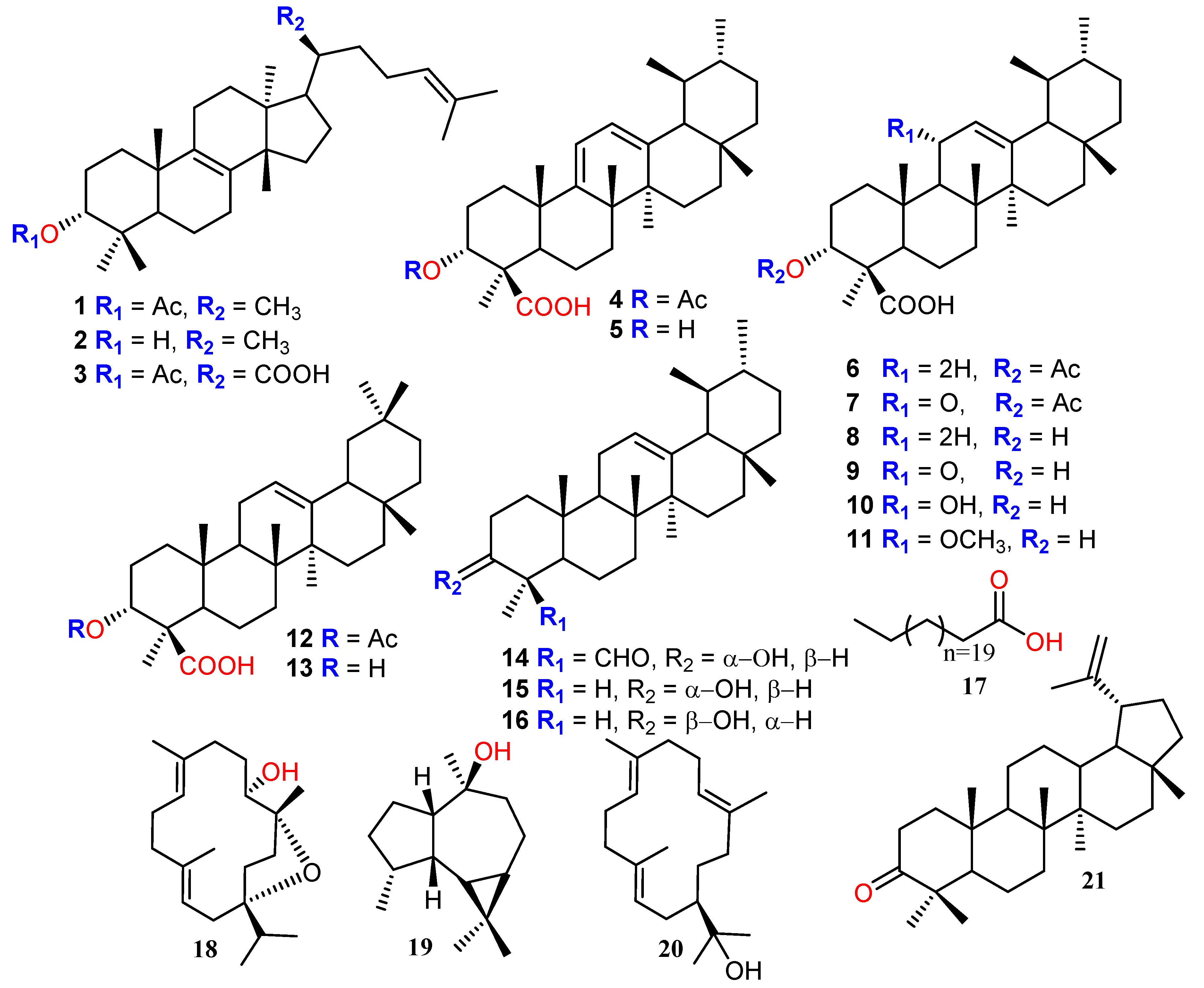 Biomolecules 10 00751 g001