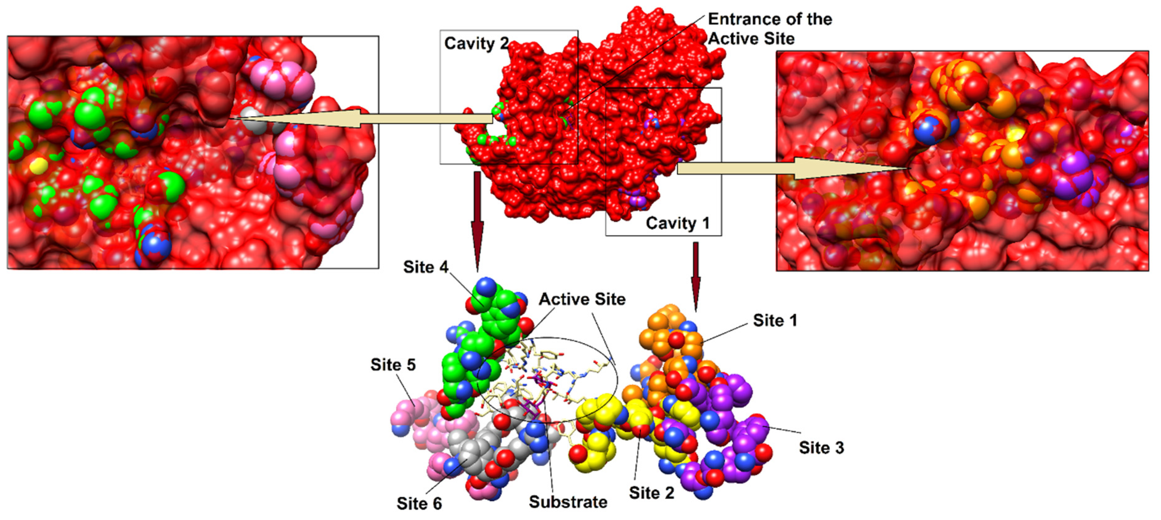 Biomolecules 10 00751 g007
