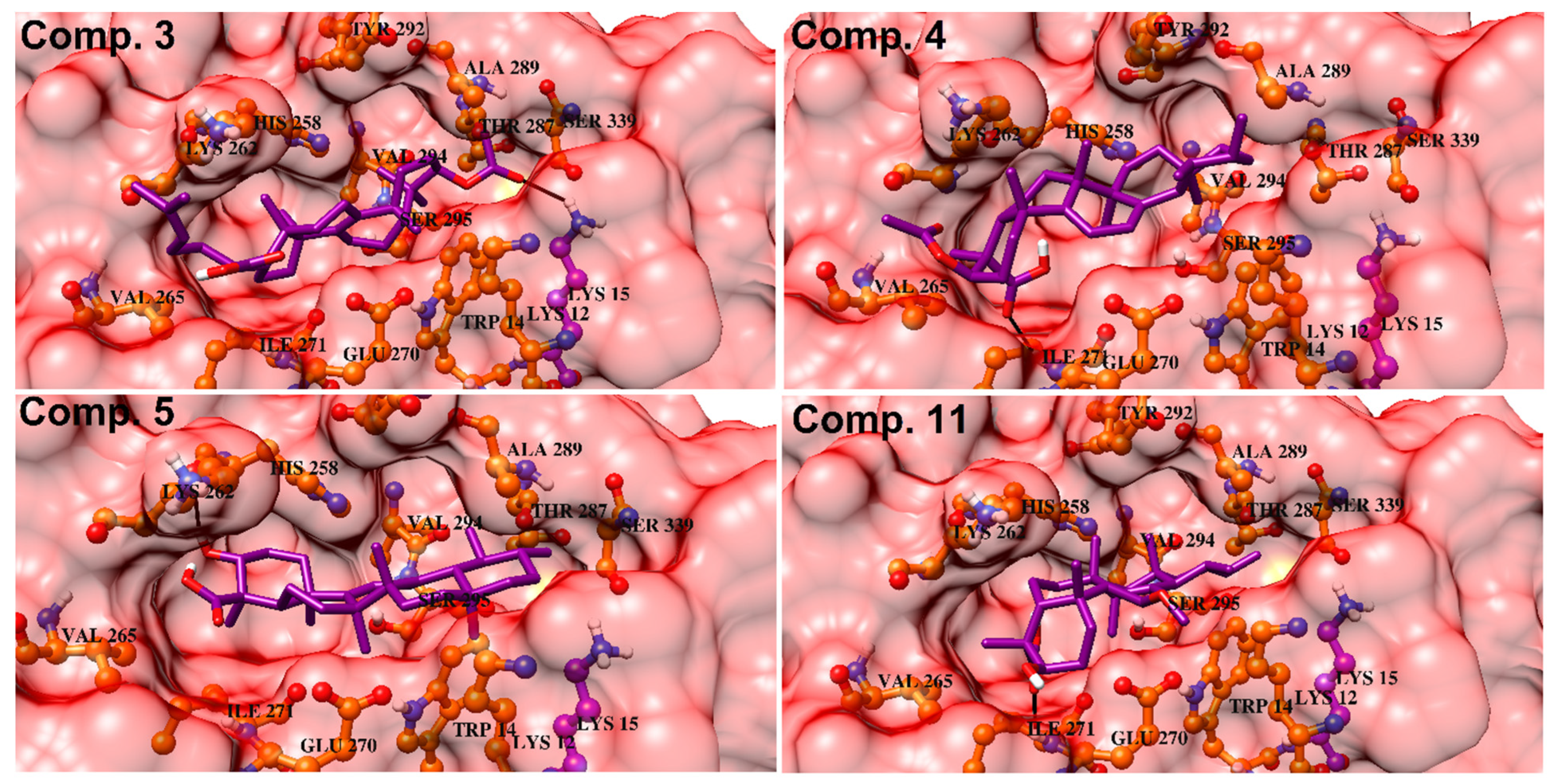 Biomolecules 10 00751 g008