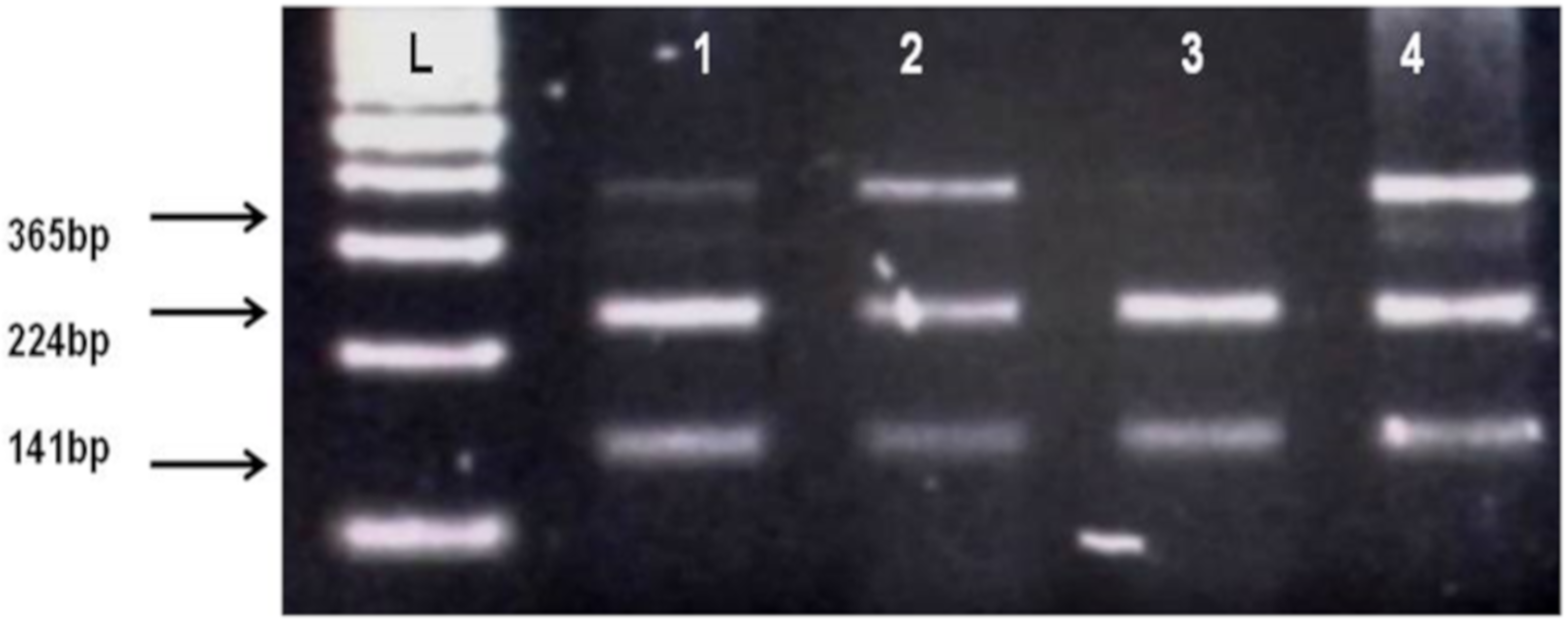 Biomolecules 10 00758 g002