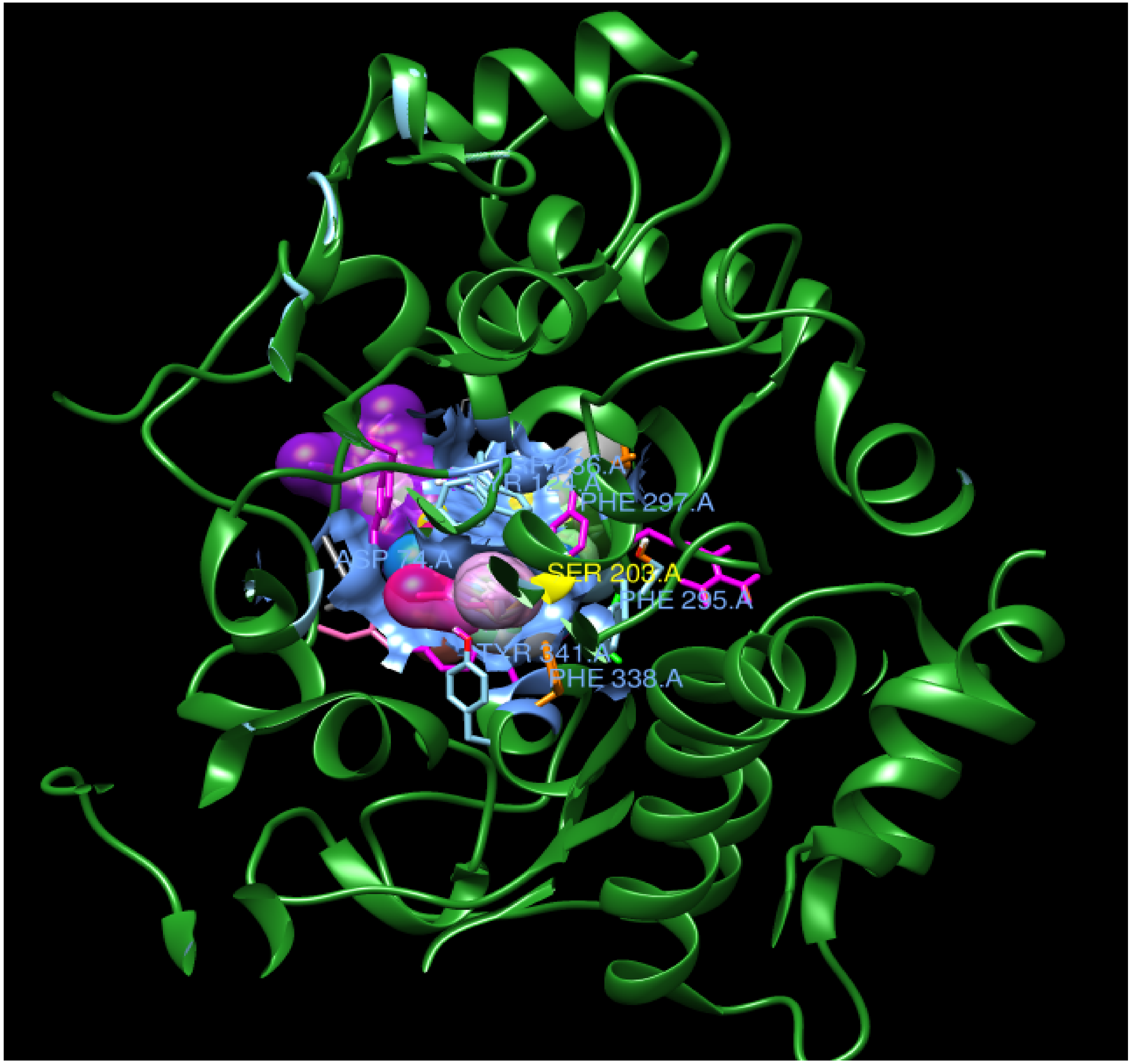 Biomolecules 10 00758 g003