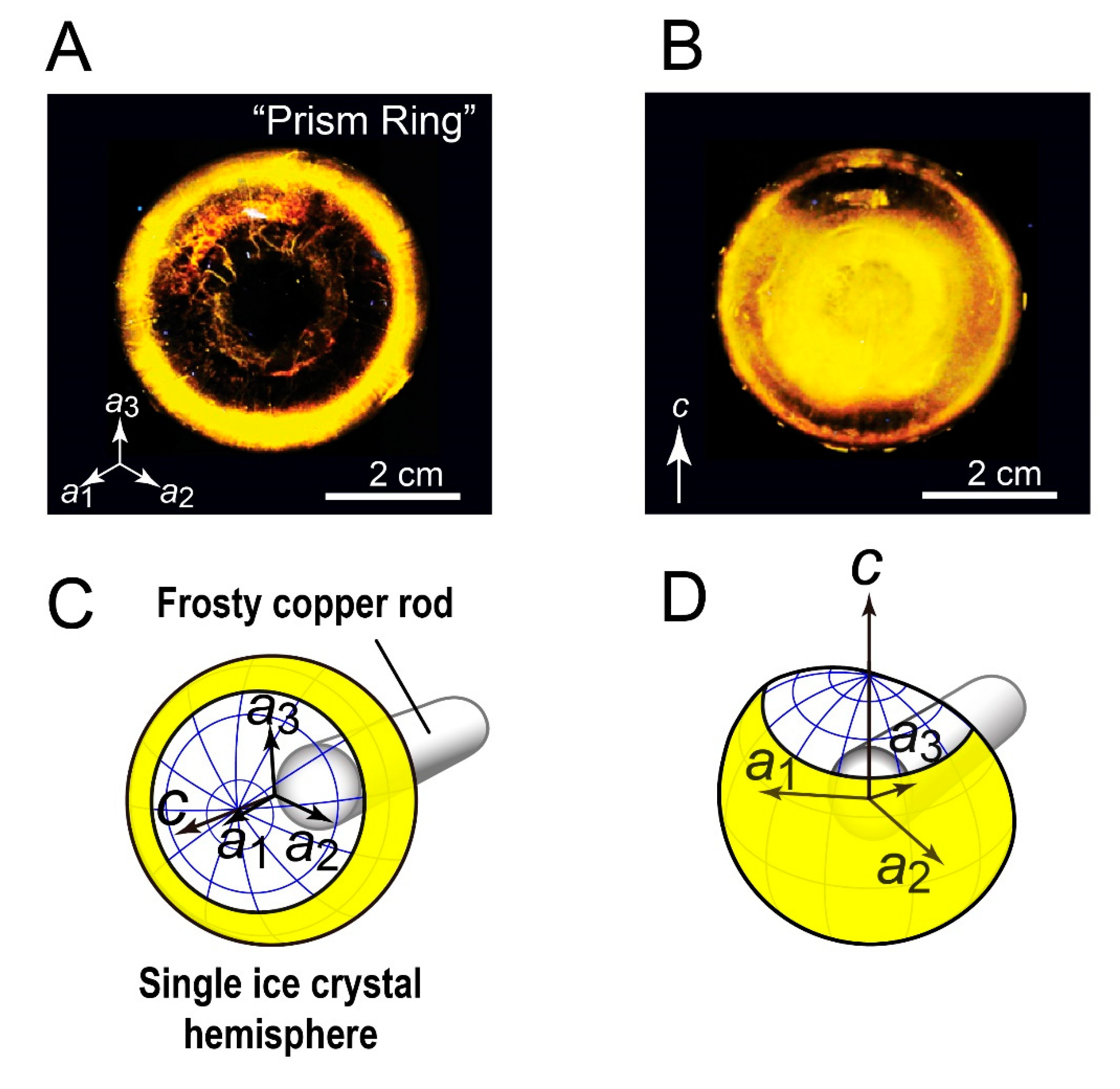 Biomolecules 10 00759 g001 Biomolecules 10 00759 g001