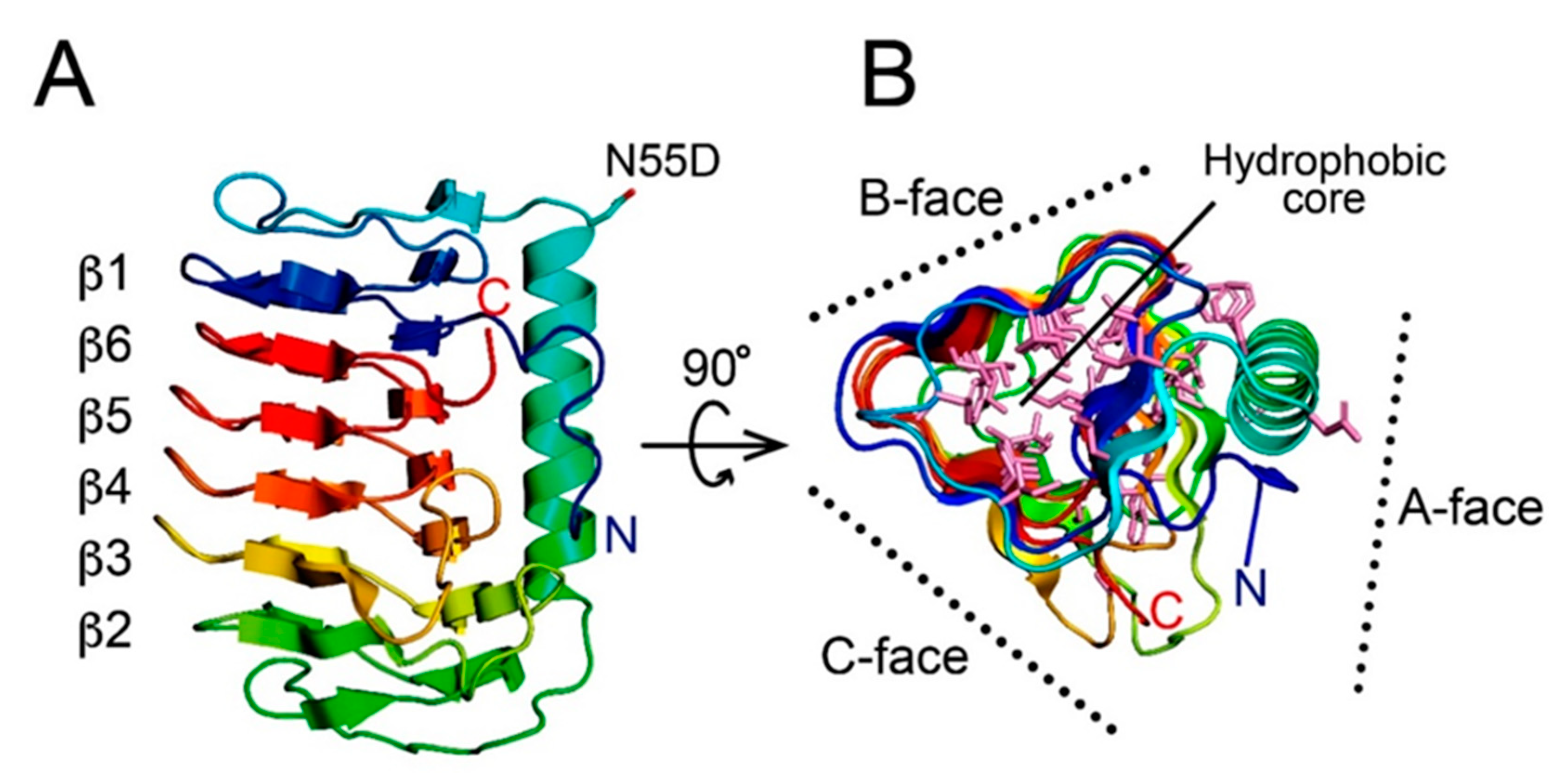 Biomolecules 10 00759 g002 Biomolecules 10 00759 g002