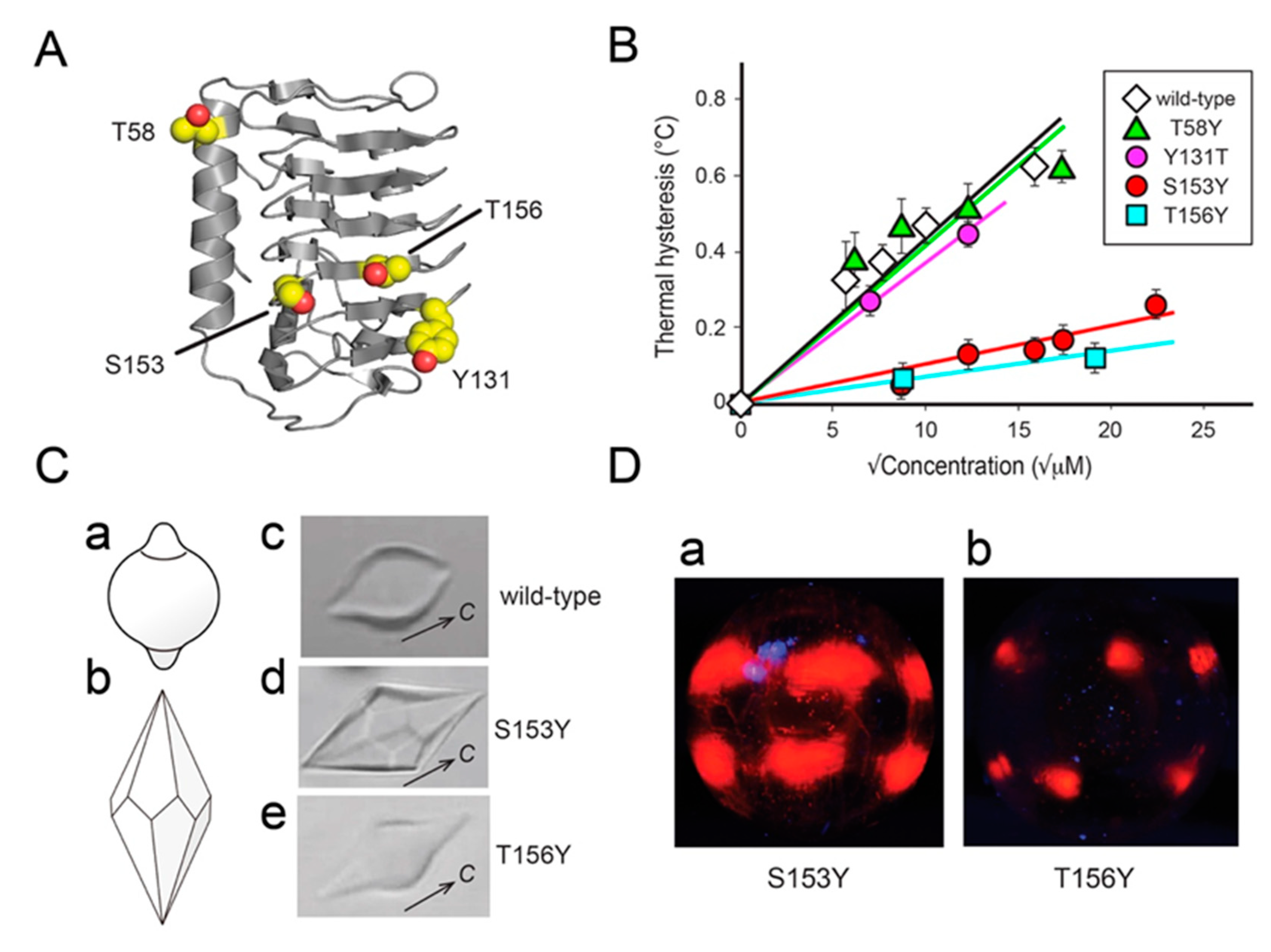 Biomolecules 10 00759 g003 Biomolecules 10 00759 g003
