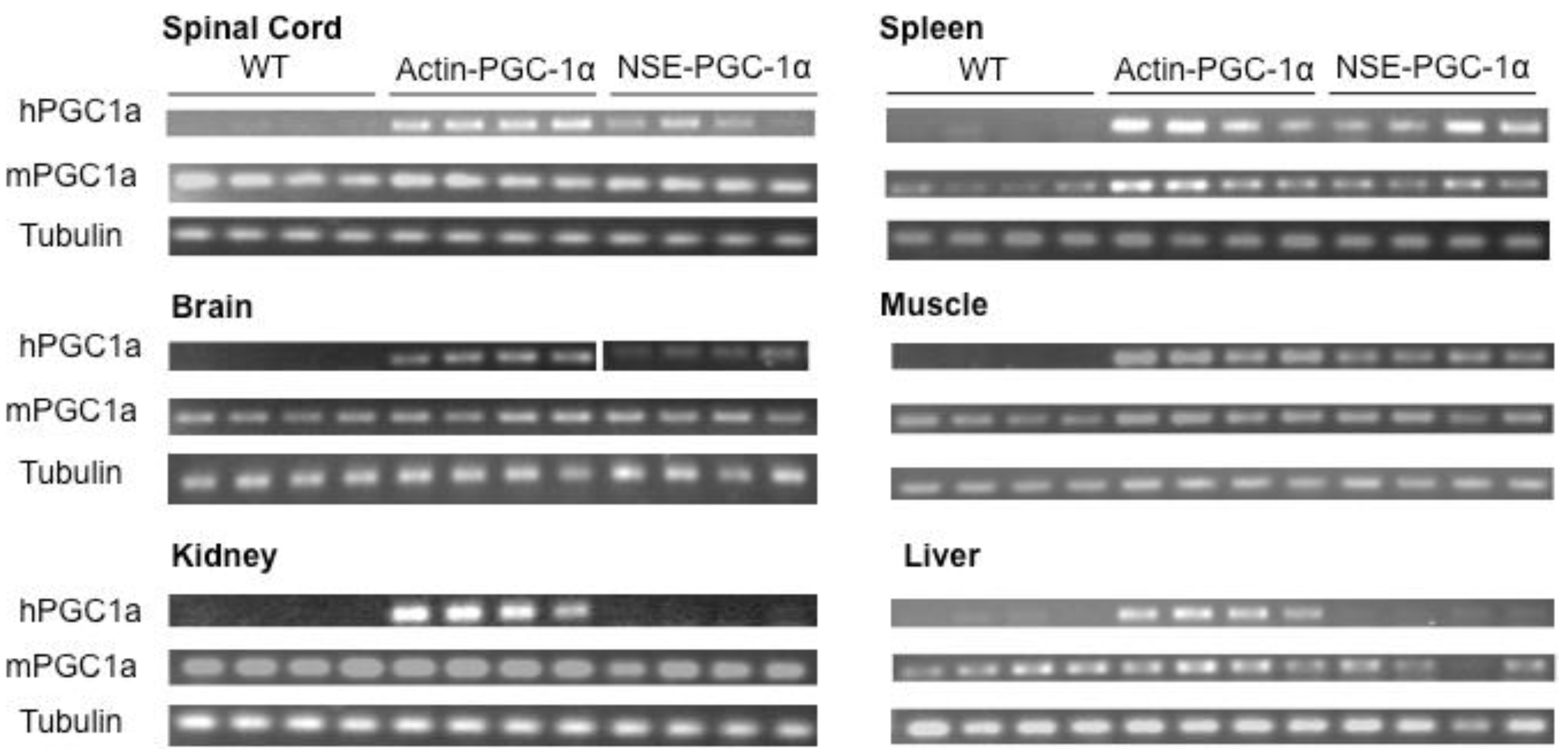Biomolecules 10 00760 g002