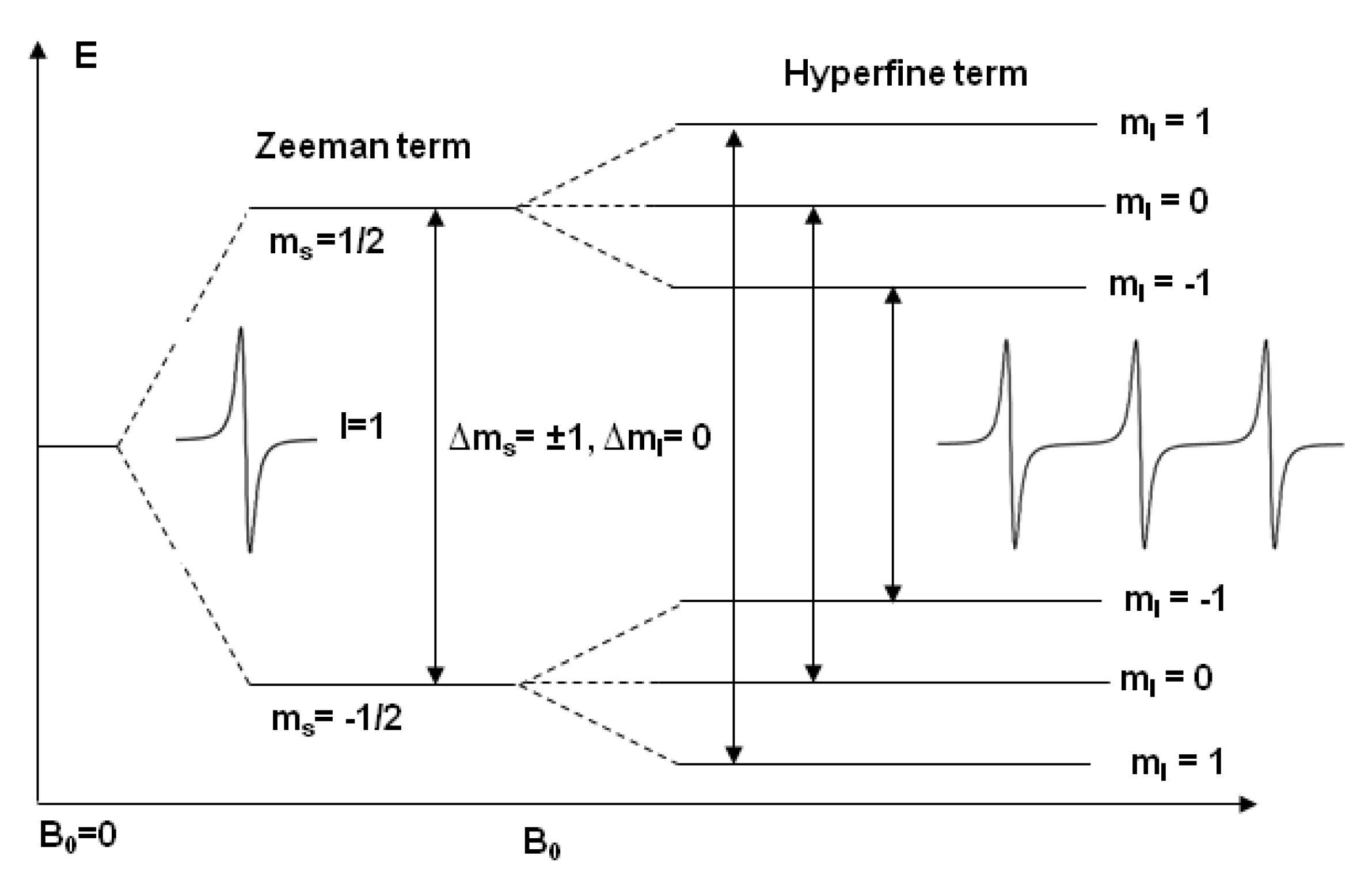 Biomolecules 10 00763 g001