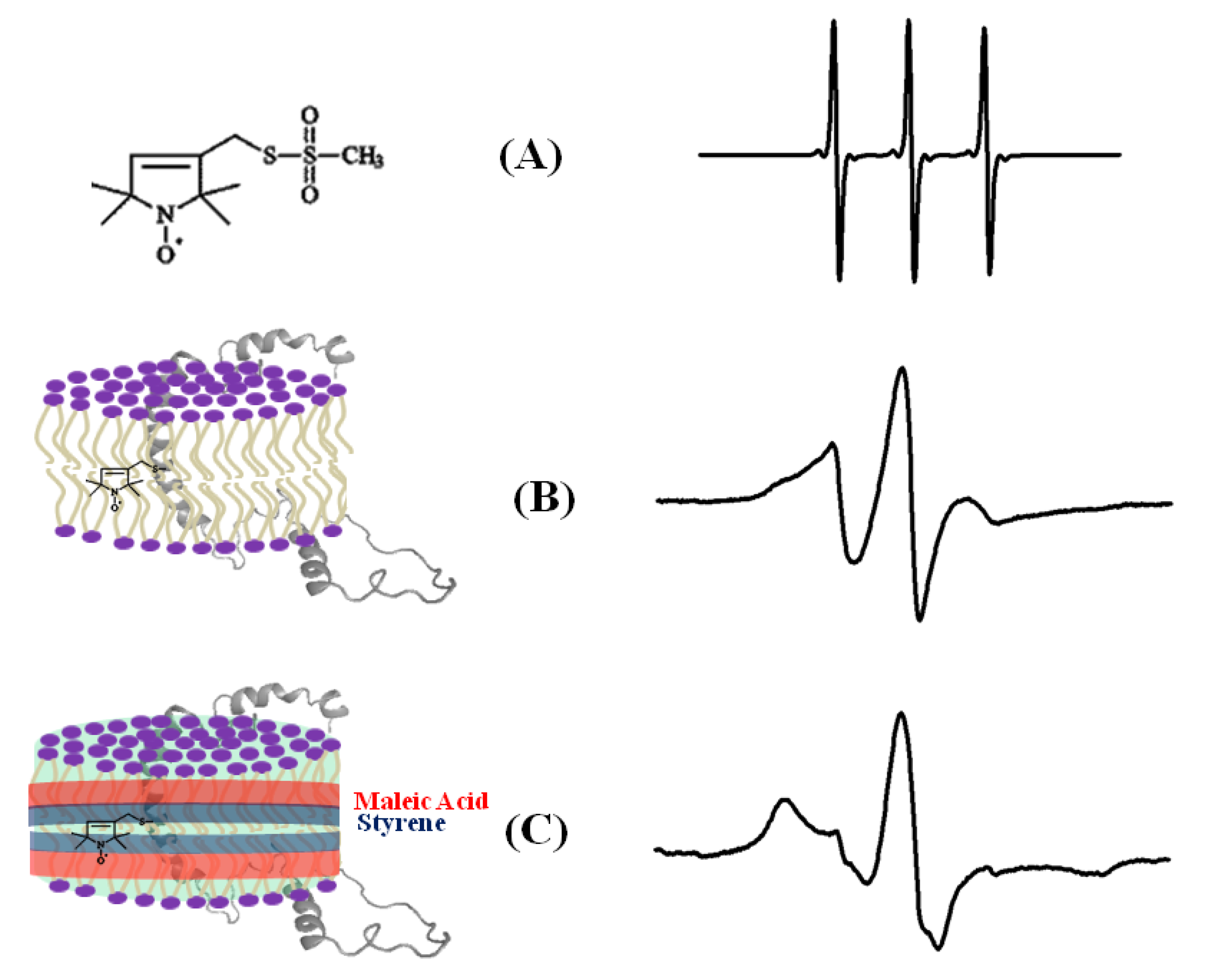 Biomolecules 10 00763 g004