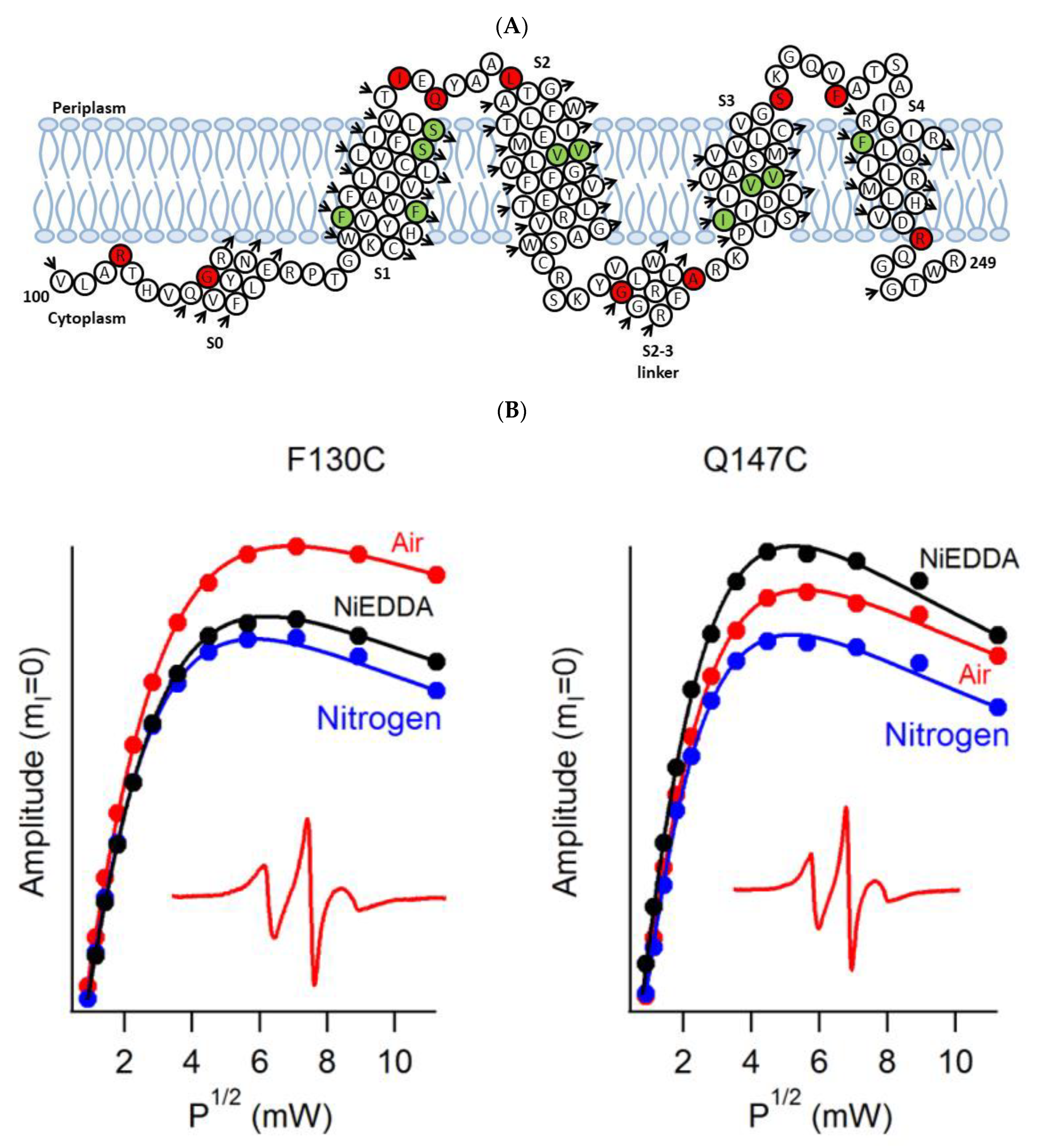 Biomolecules 10 00763 g005a