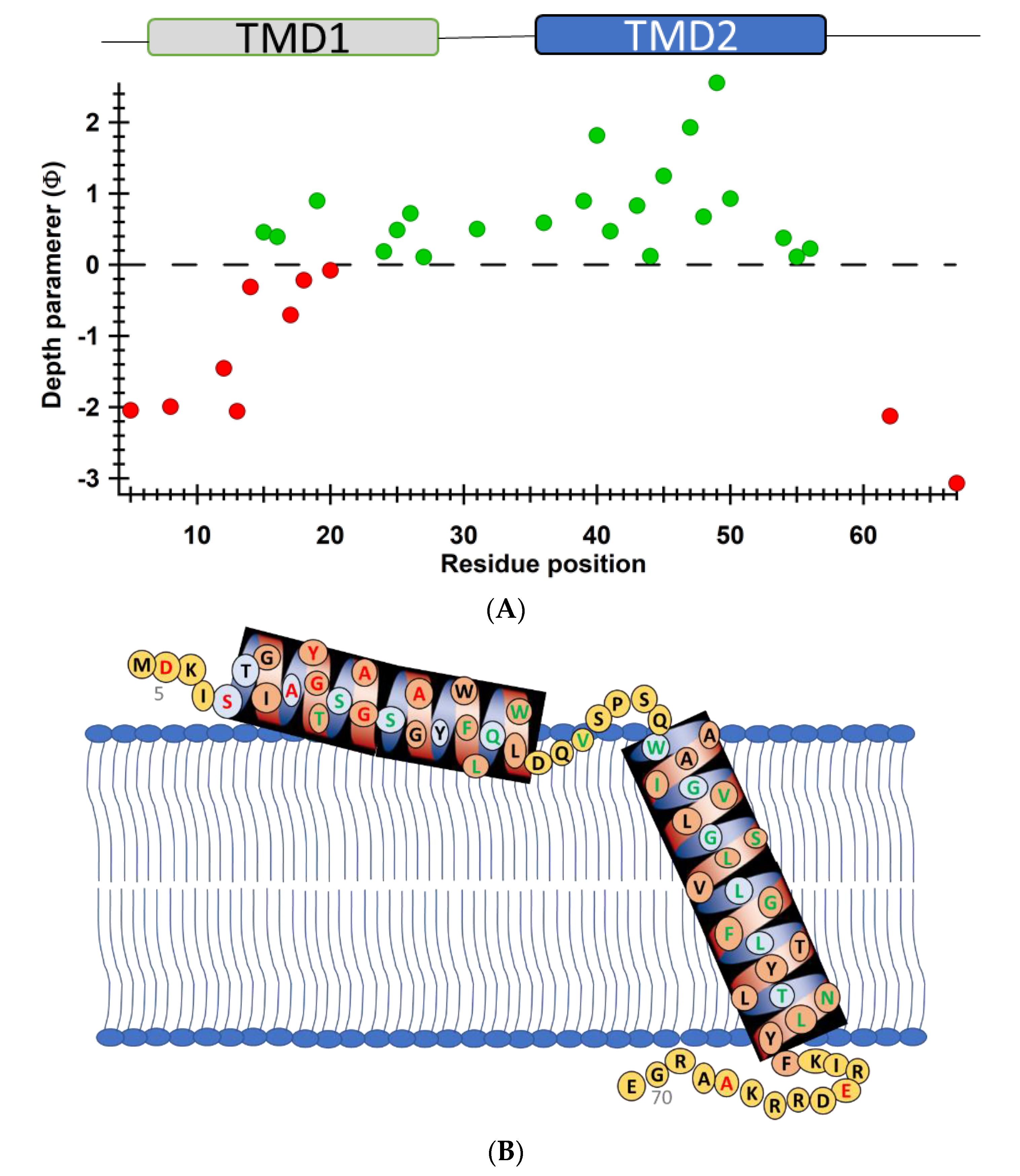 Biomolecules 10 00763 g006