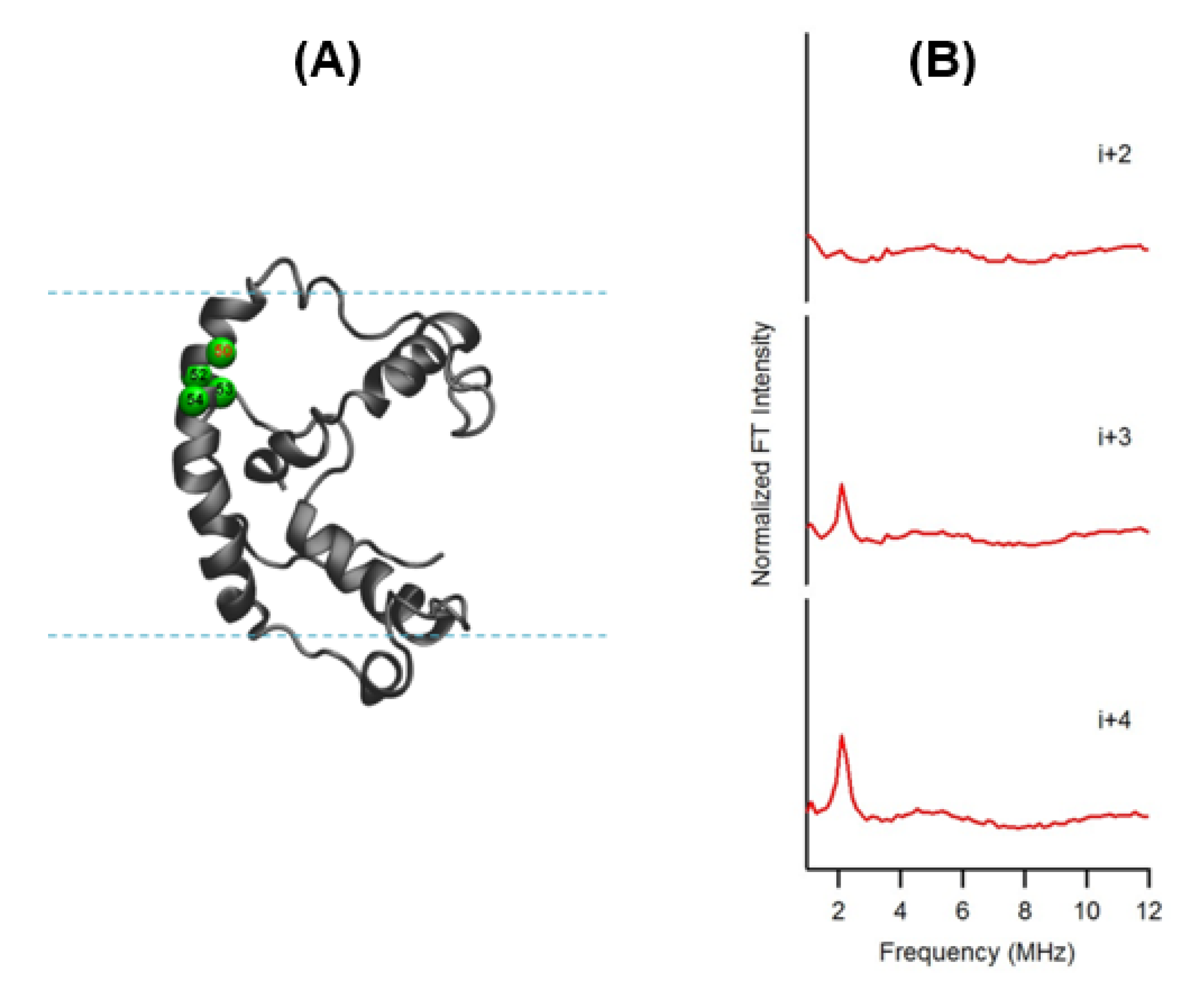 Biomolecules 10 00763 g007