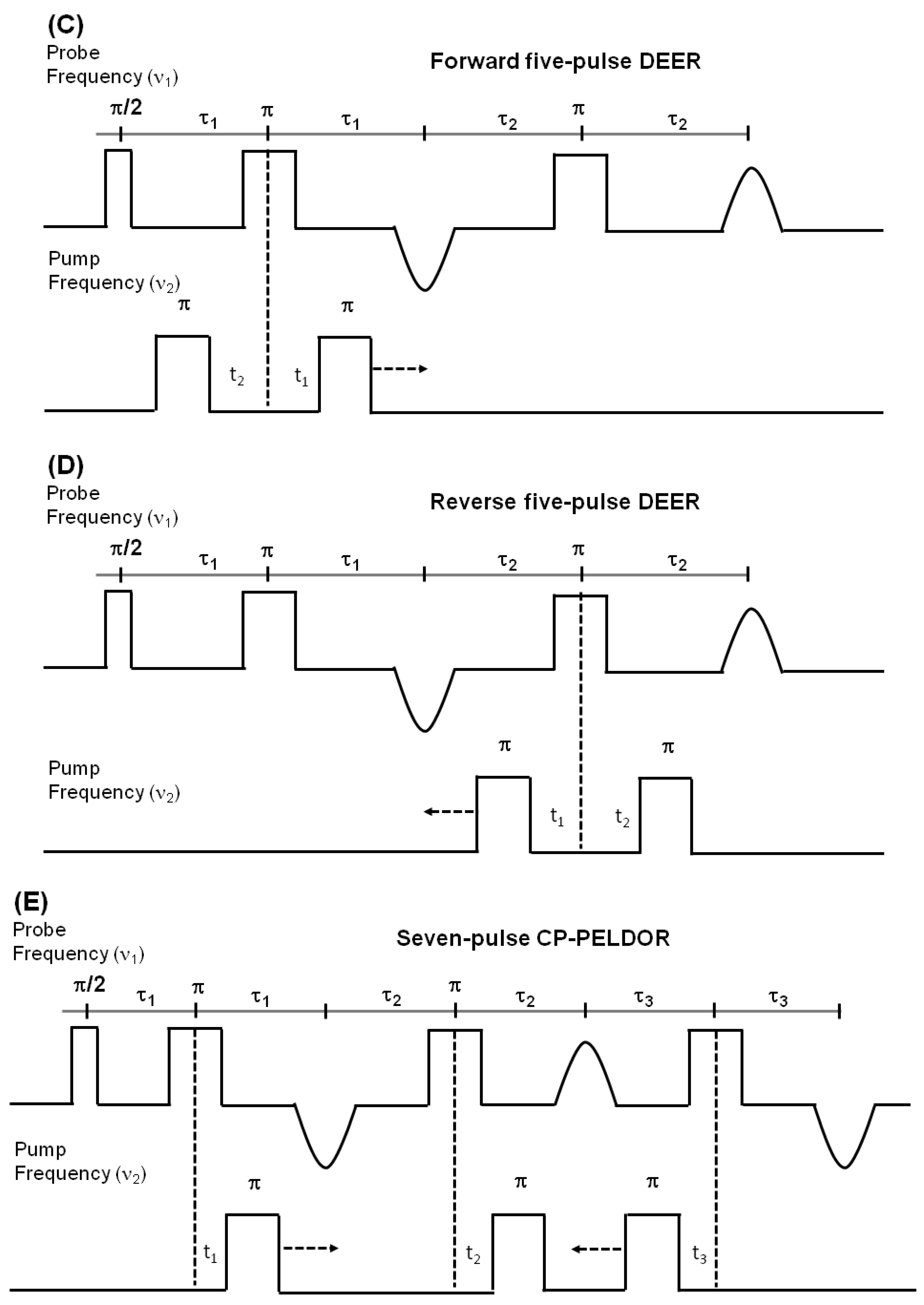 Biomolecules 10 00763 g008b