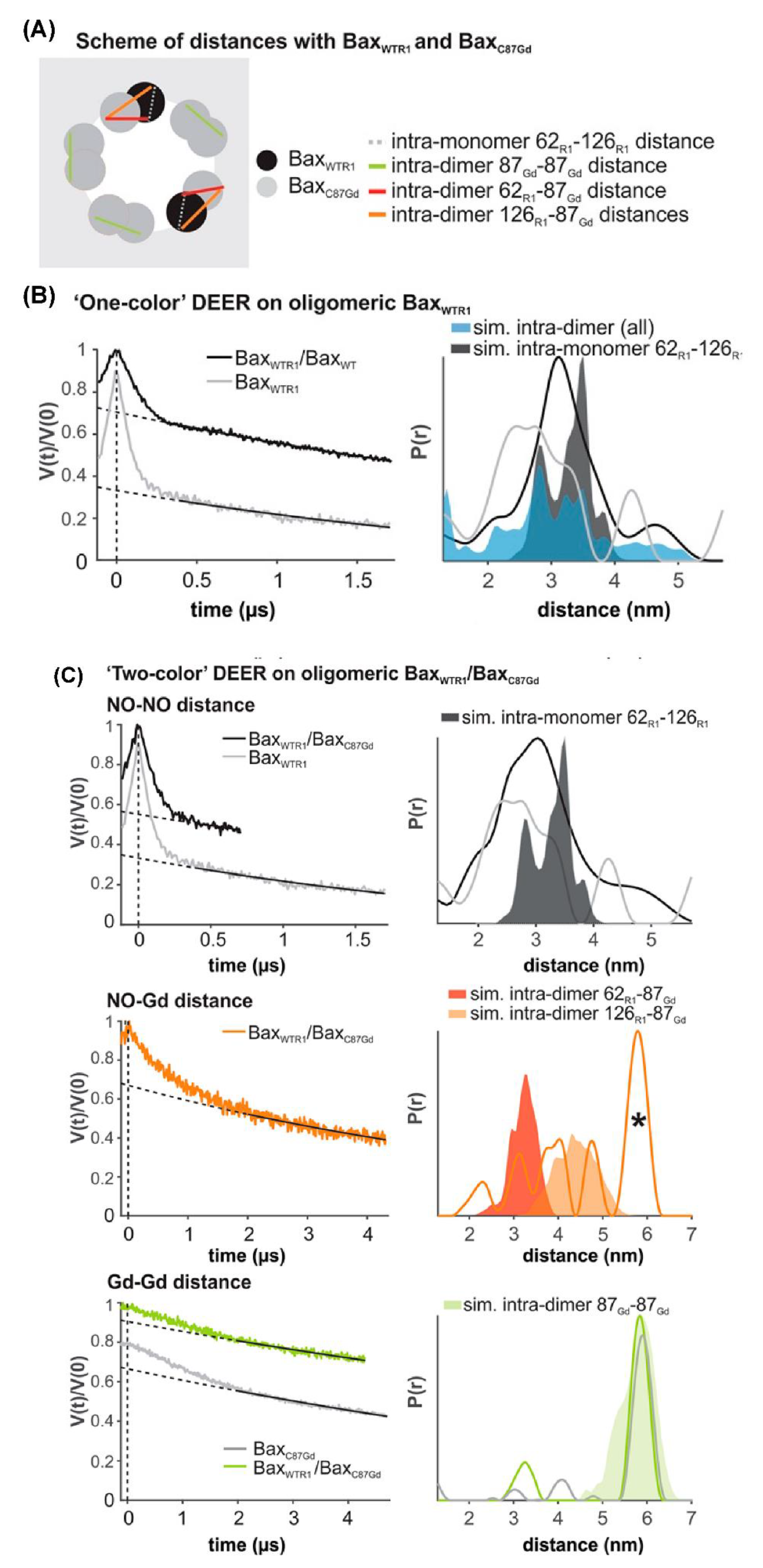 Biomolecules 10 00763 g009