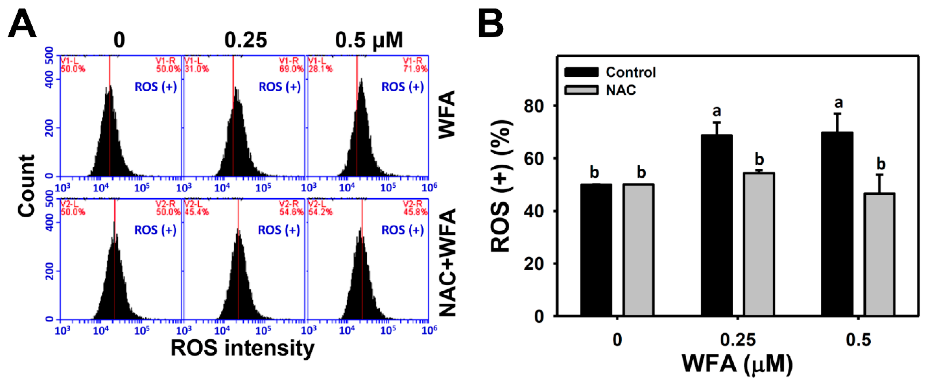 Biomolecules 10 00777 g002 Biomolecules 10 00777 g002